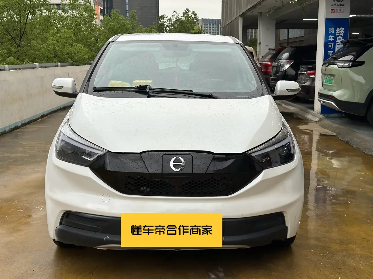 Jiangling Yizhi EV3