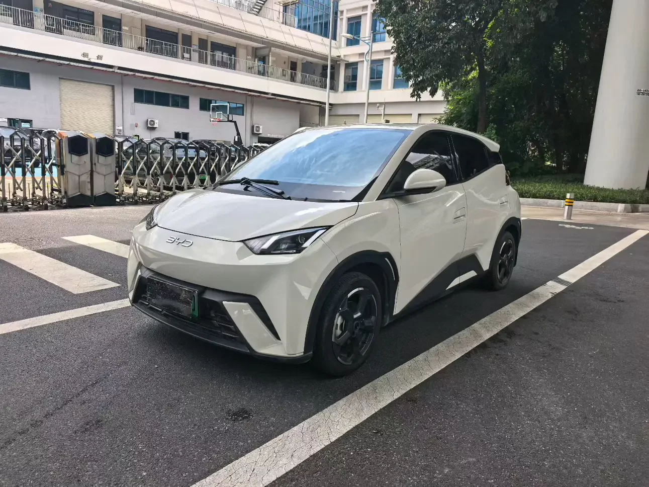 BYD seagull