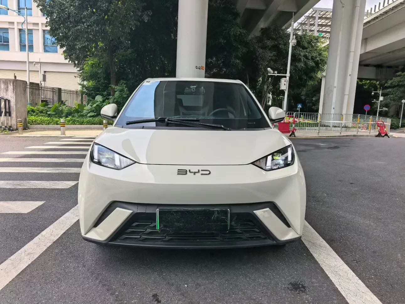 BYD seagull