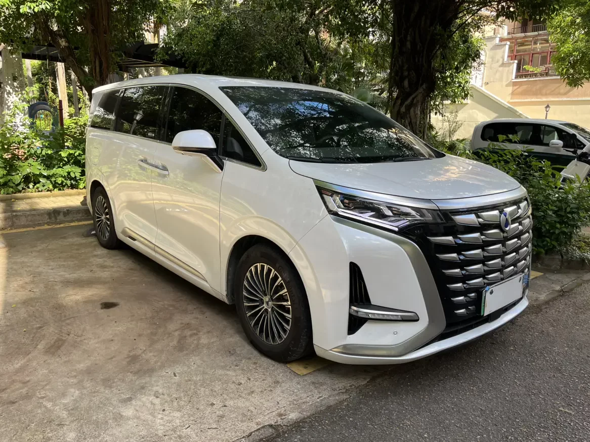 Denza D9 DM