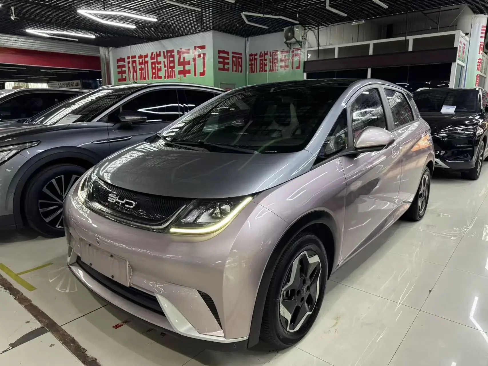 BYD dolphin