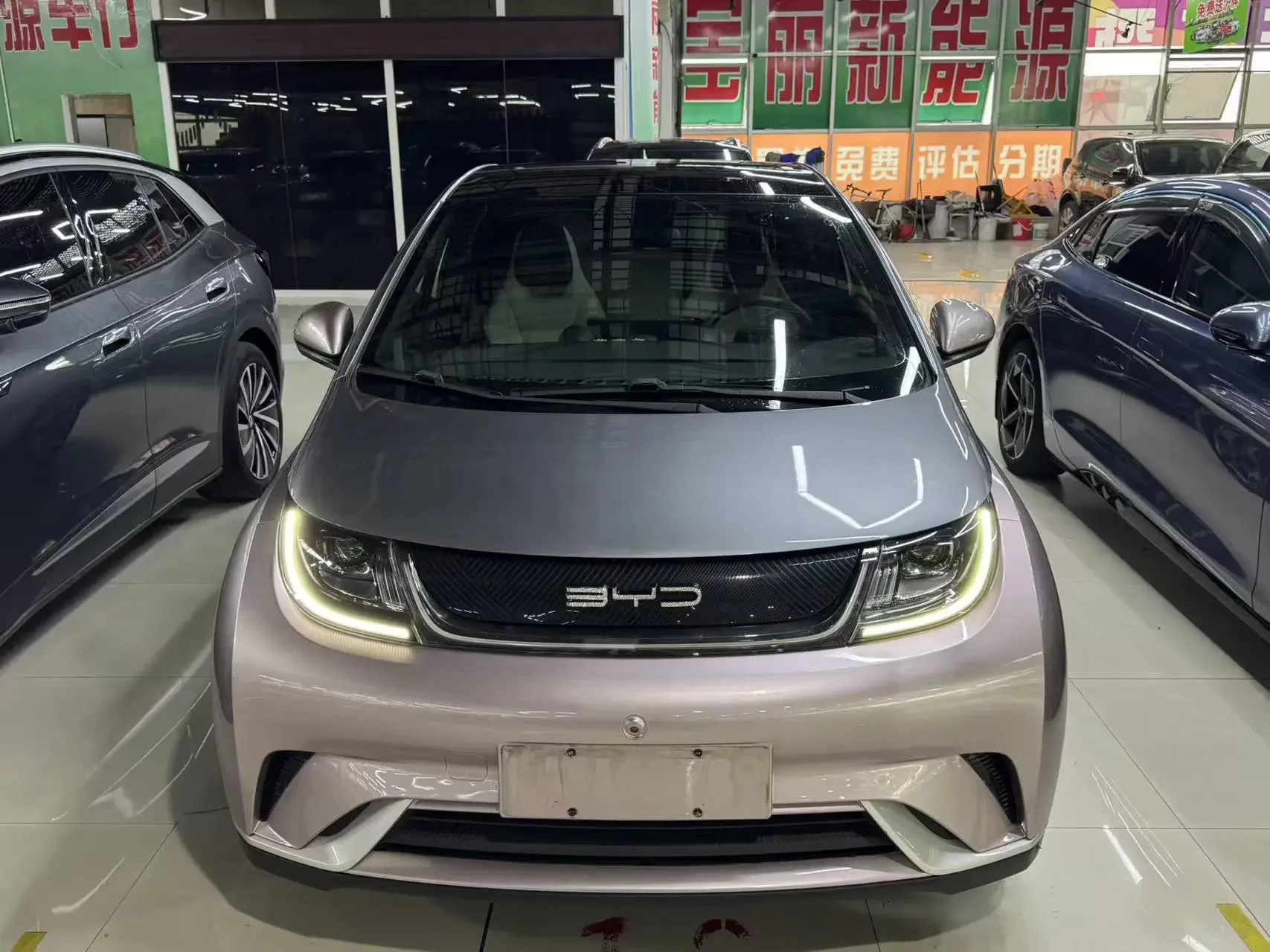 BYD dolphin