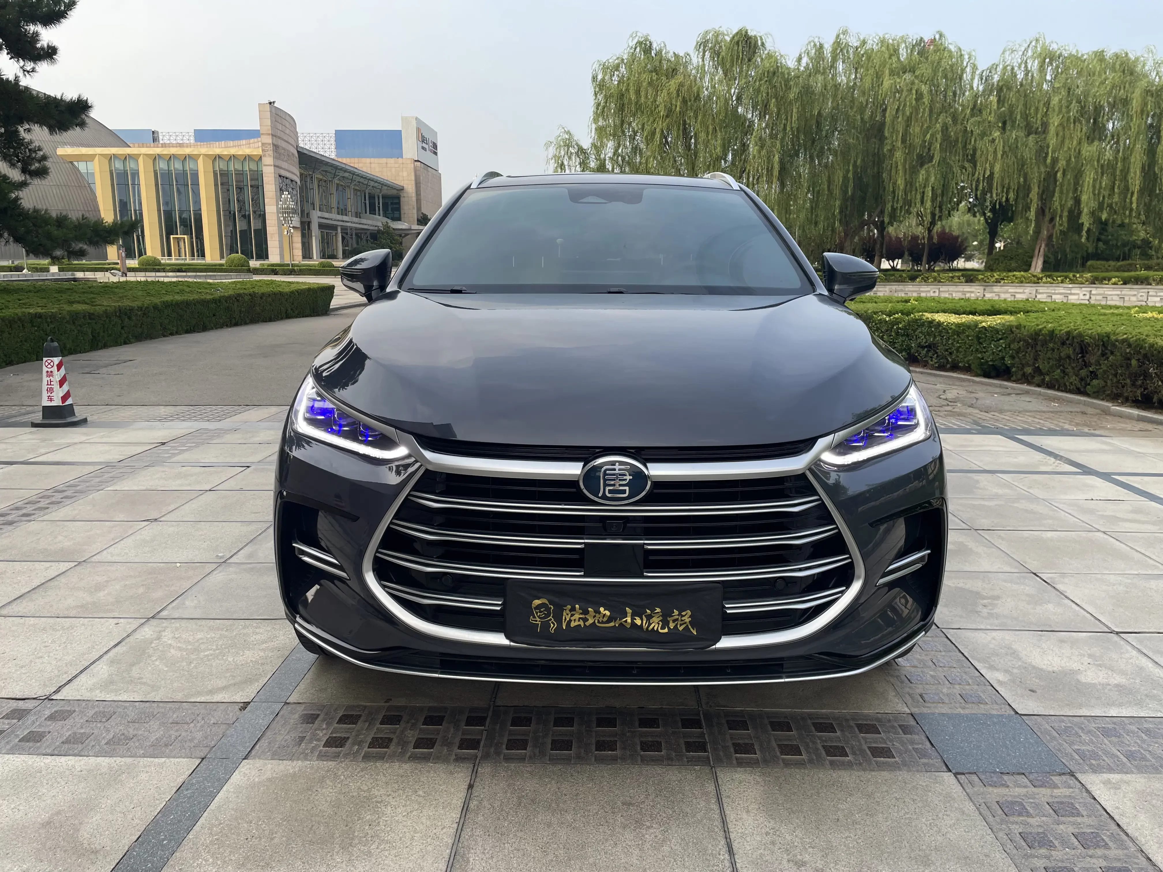BYD Tang DM