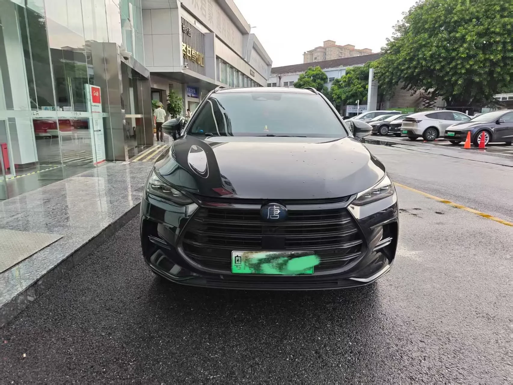 BYD Tang DM