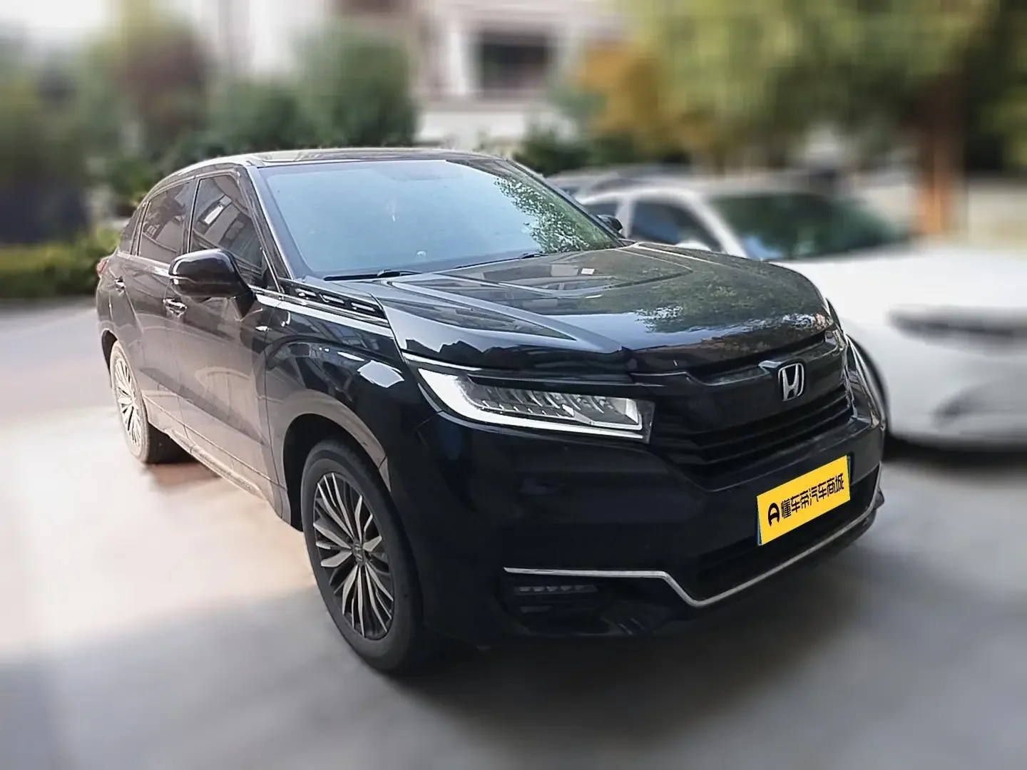 Honda Avancier