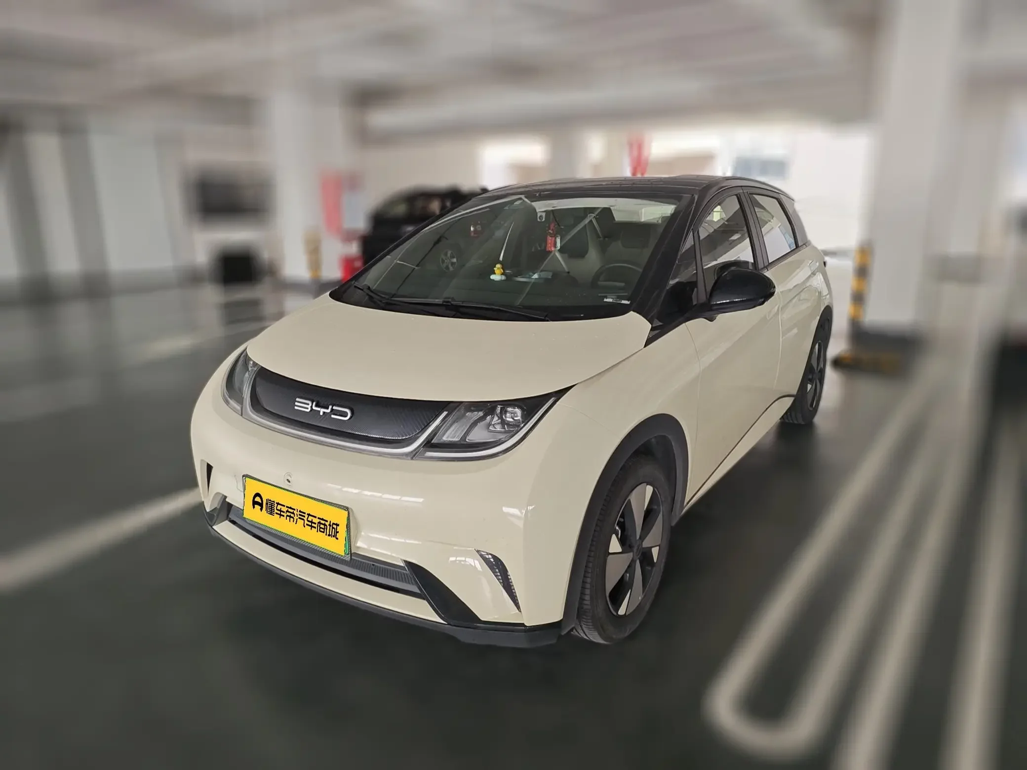 BYD dolphin
