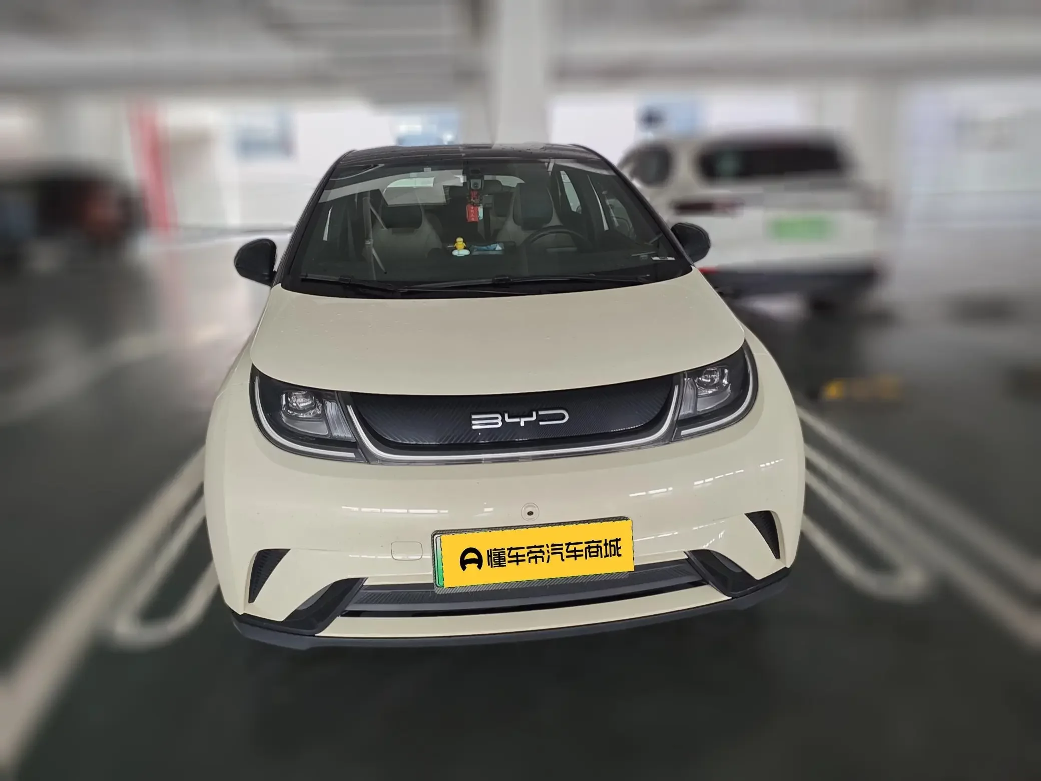 BYD dolphin