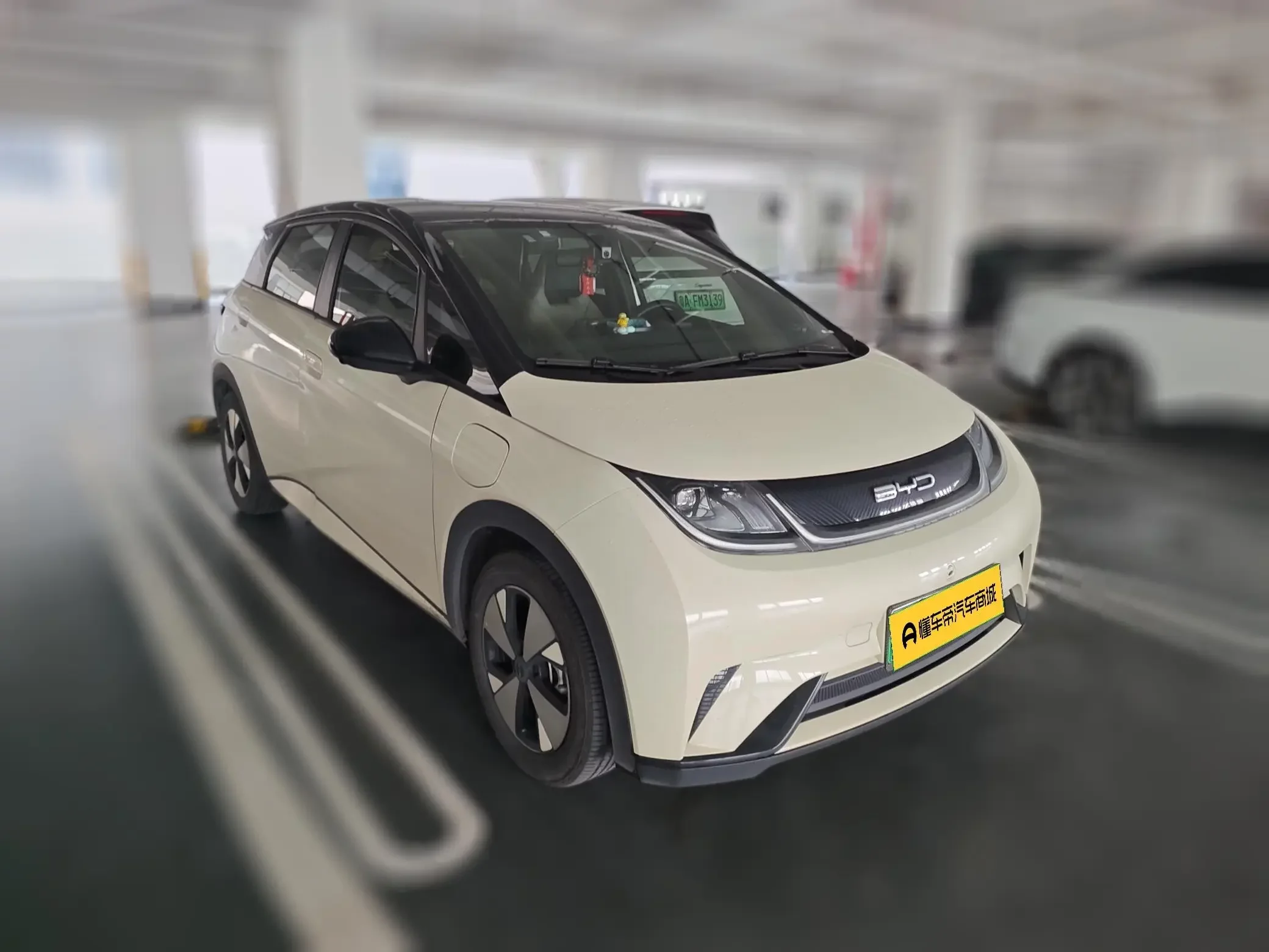 BYD dolphin