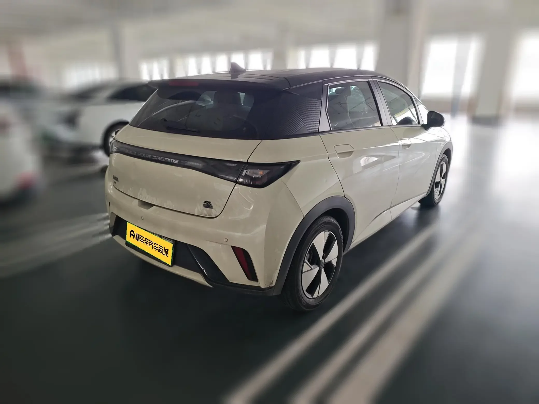 BYD dolphin