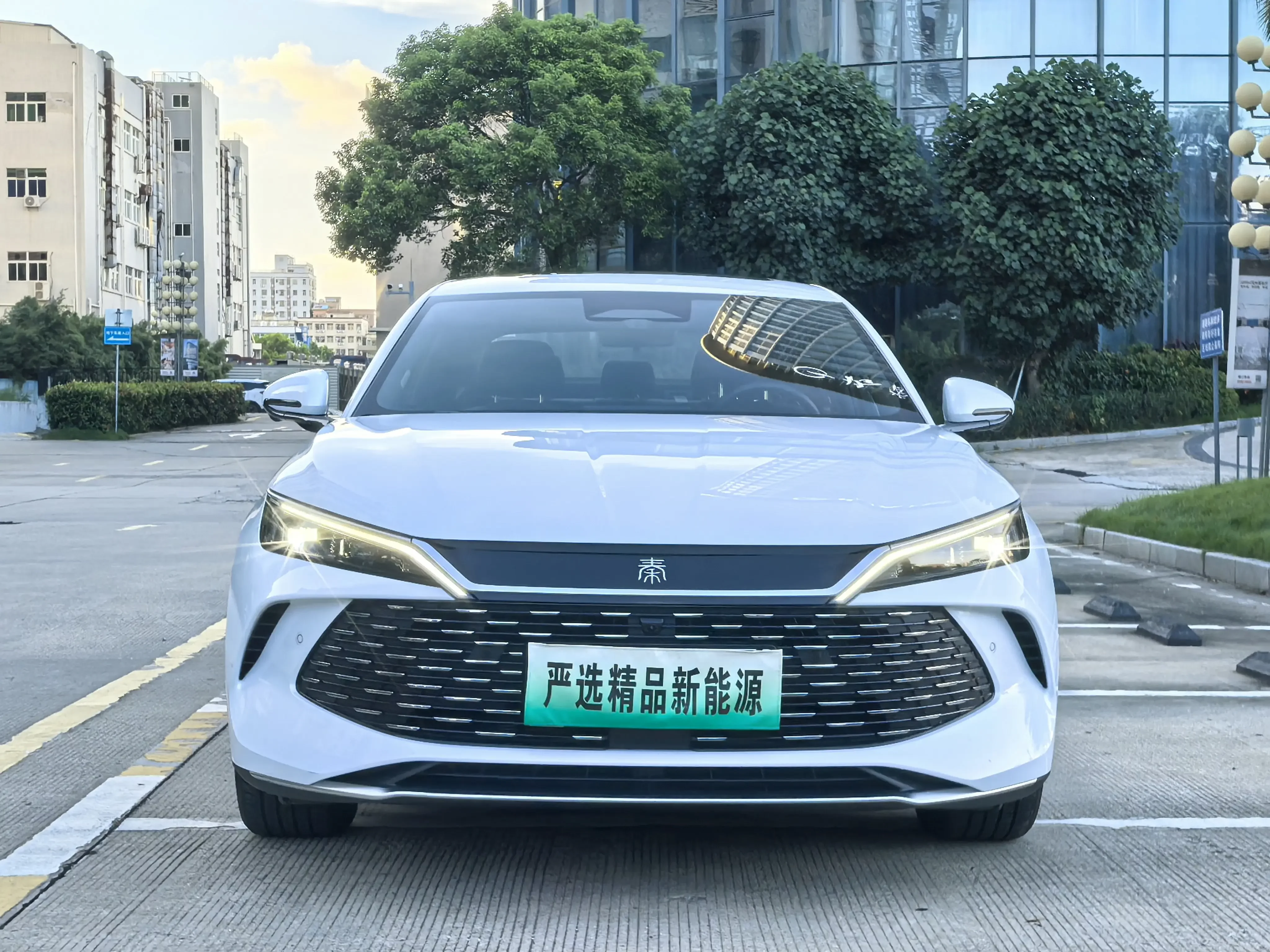 BYD Qin L DM