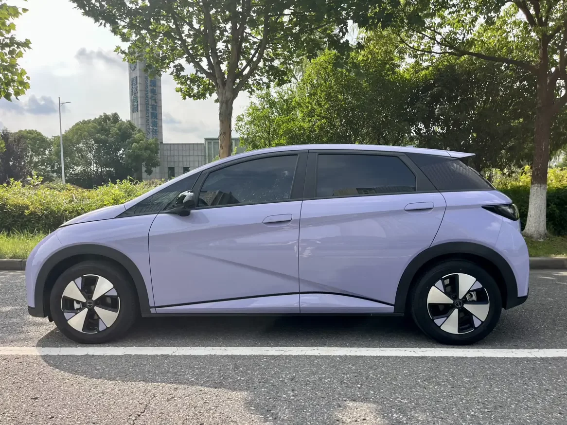 BYD dolphin