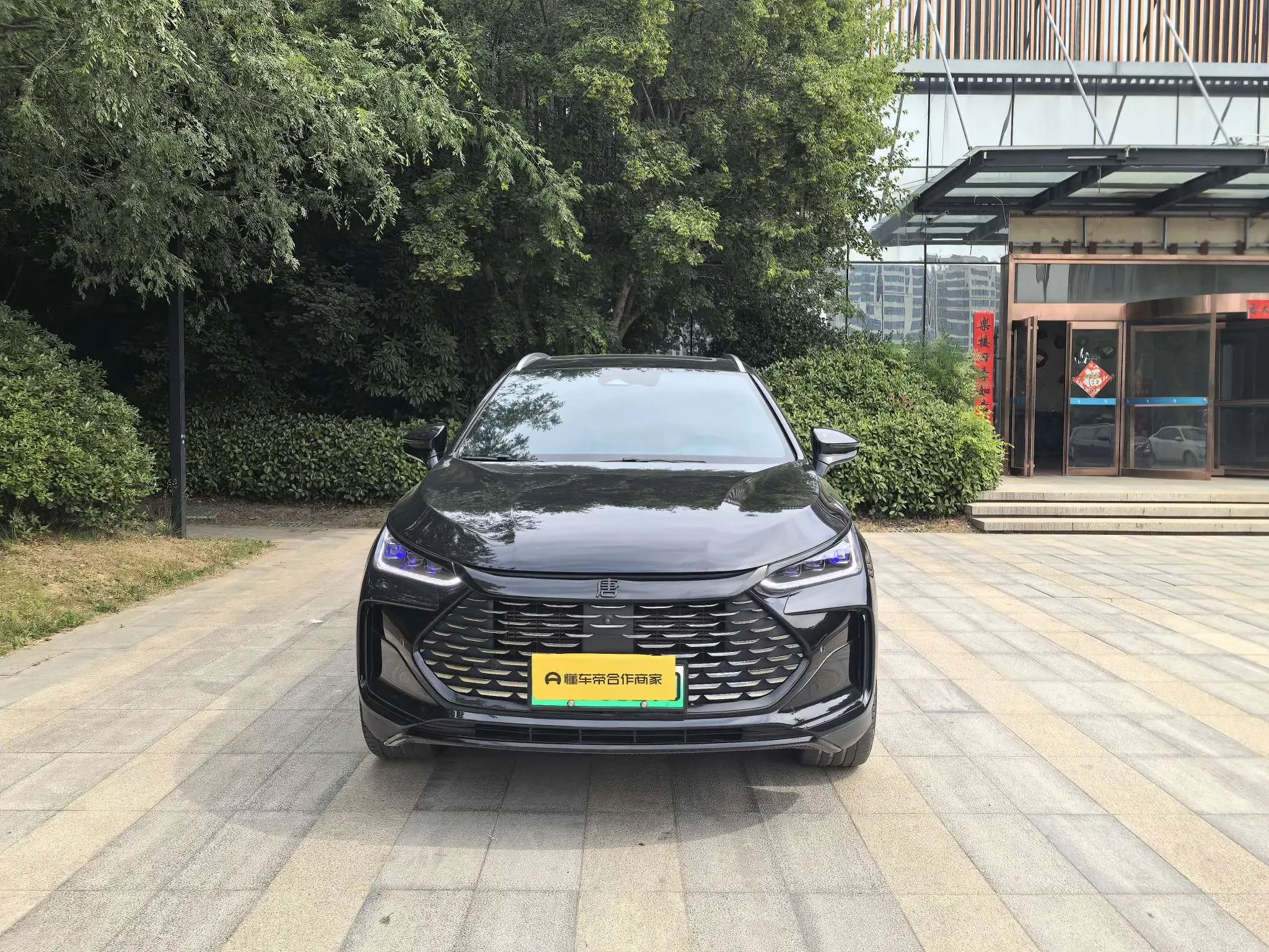 BYD Tang DM