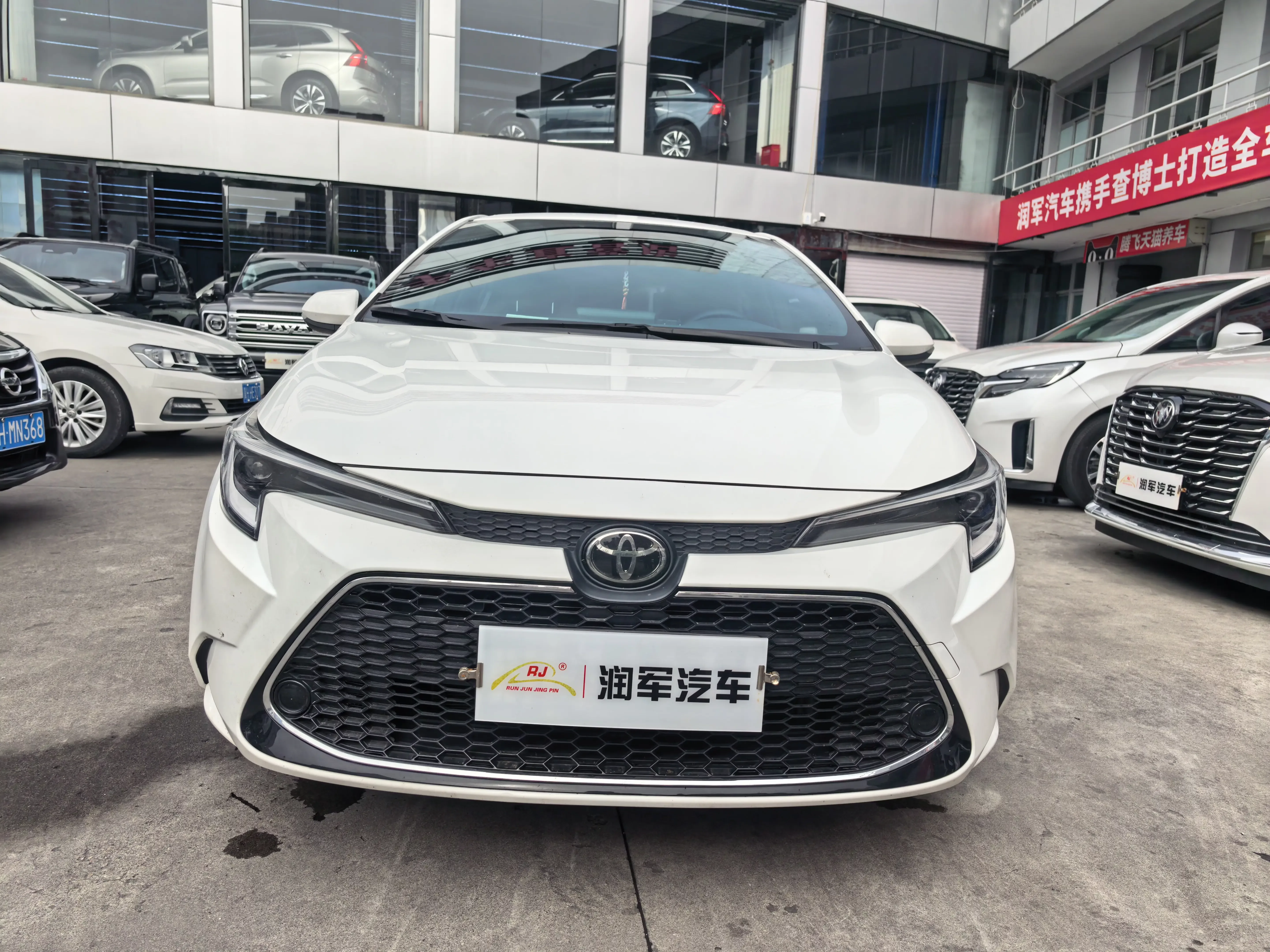 Toyota Levin