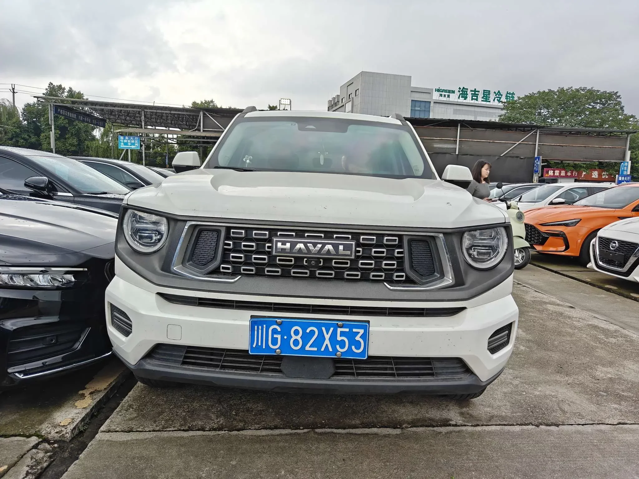 Haval H-Dog (Big Dog PLUS)  из Китая