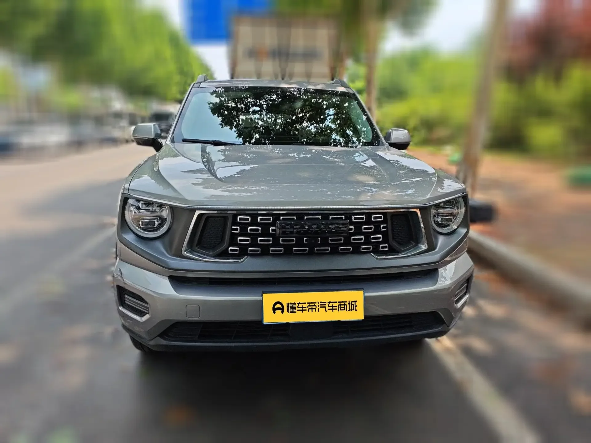 Haval H-Dog (Big Dog PLUS)  из Китая