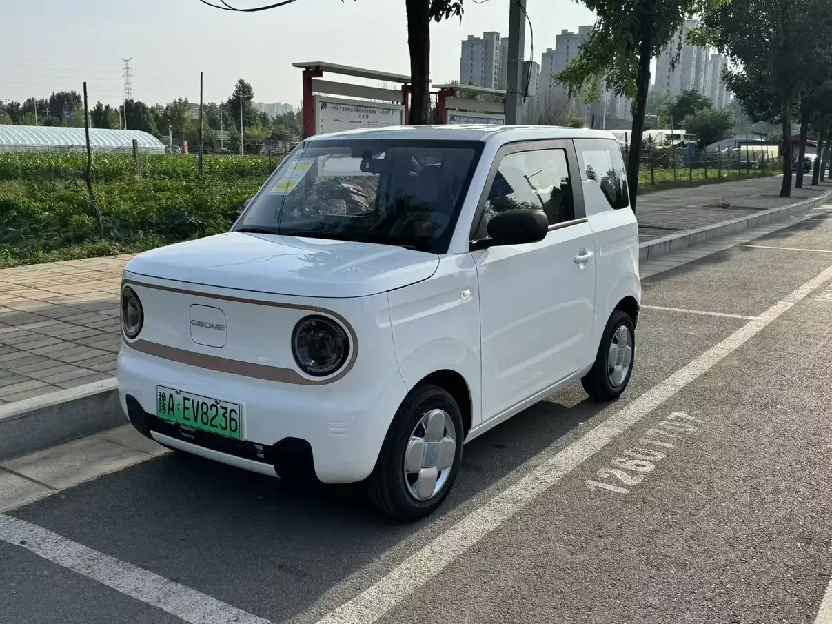 Geely panda