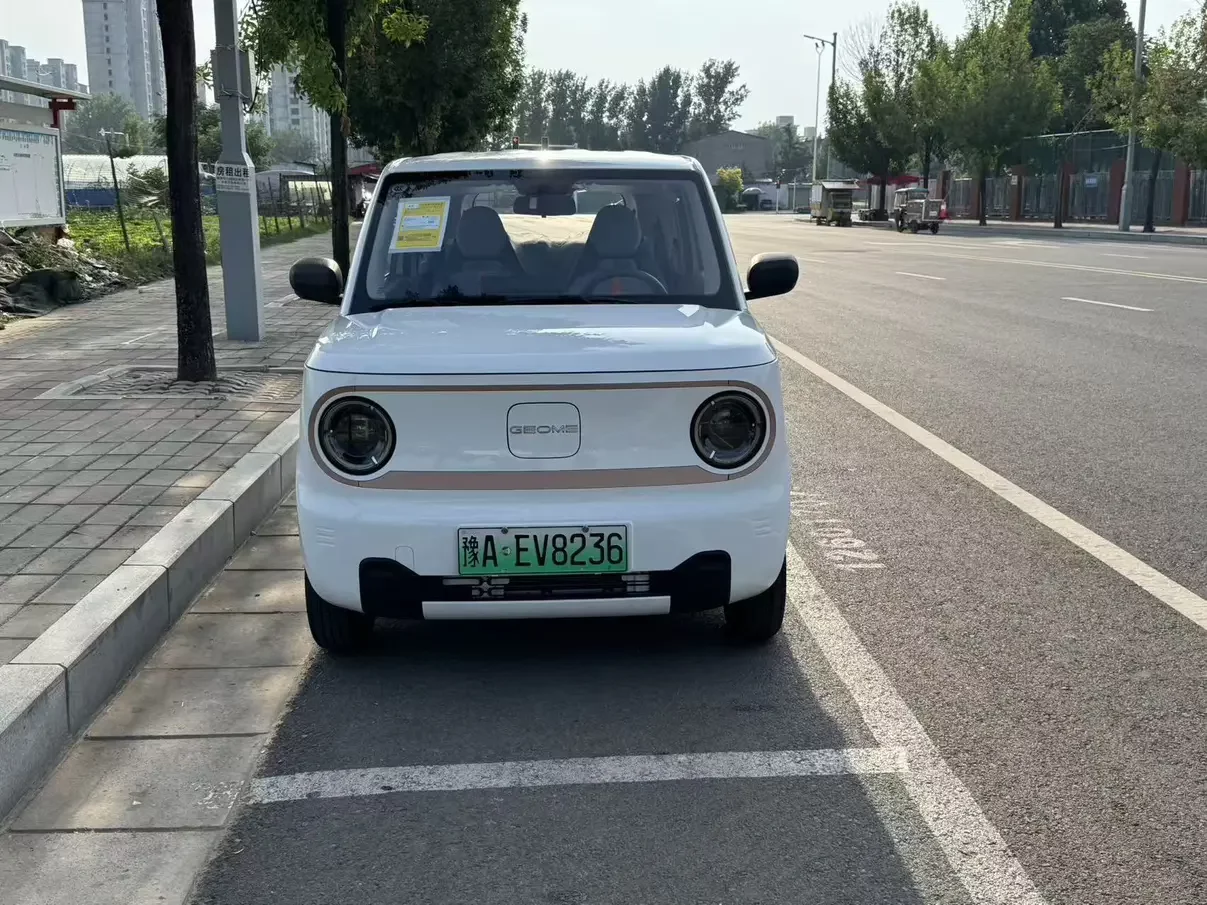 Geely panda