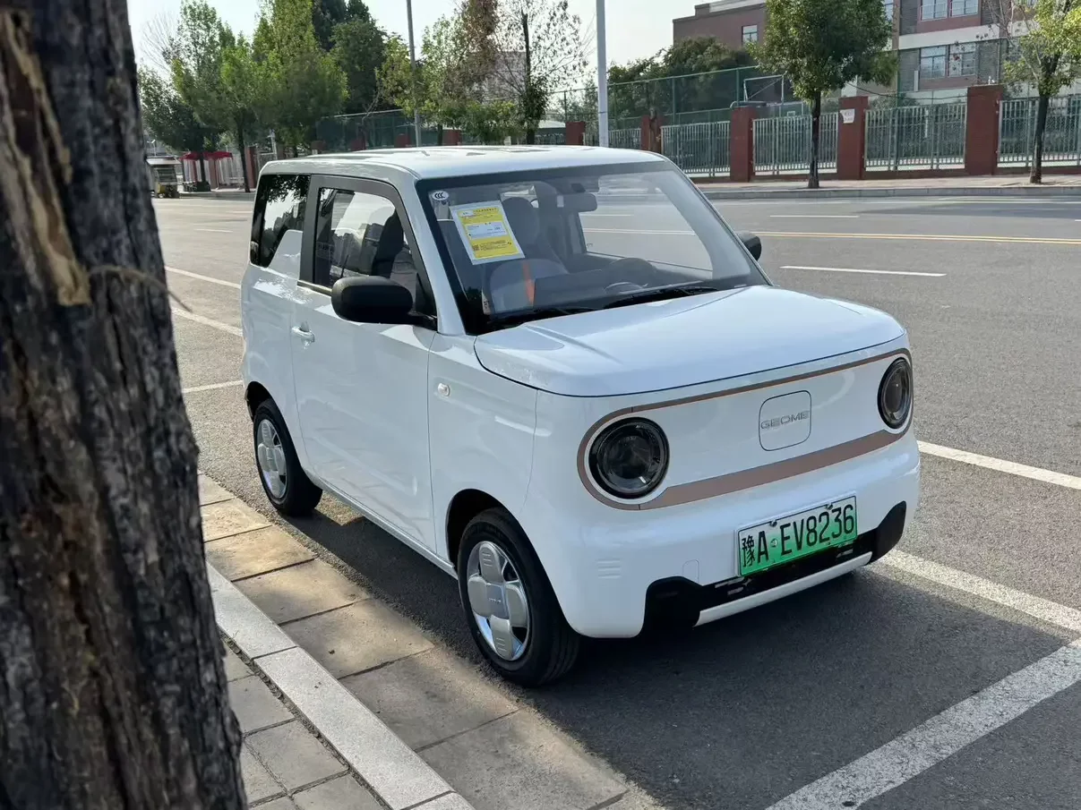 Geely panda