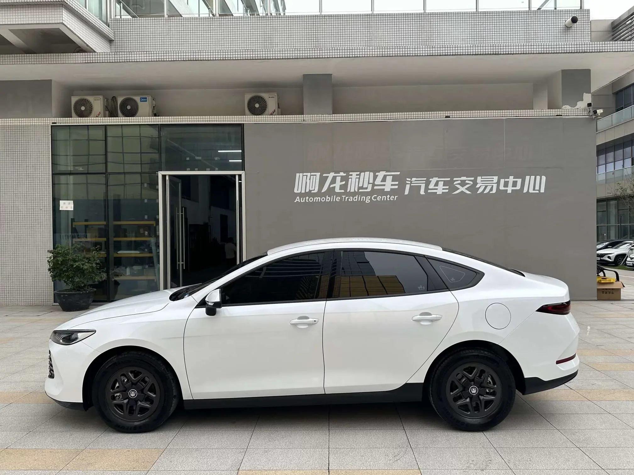 BYD Qin PLUS DM