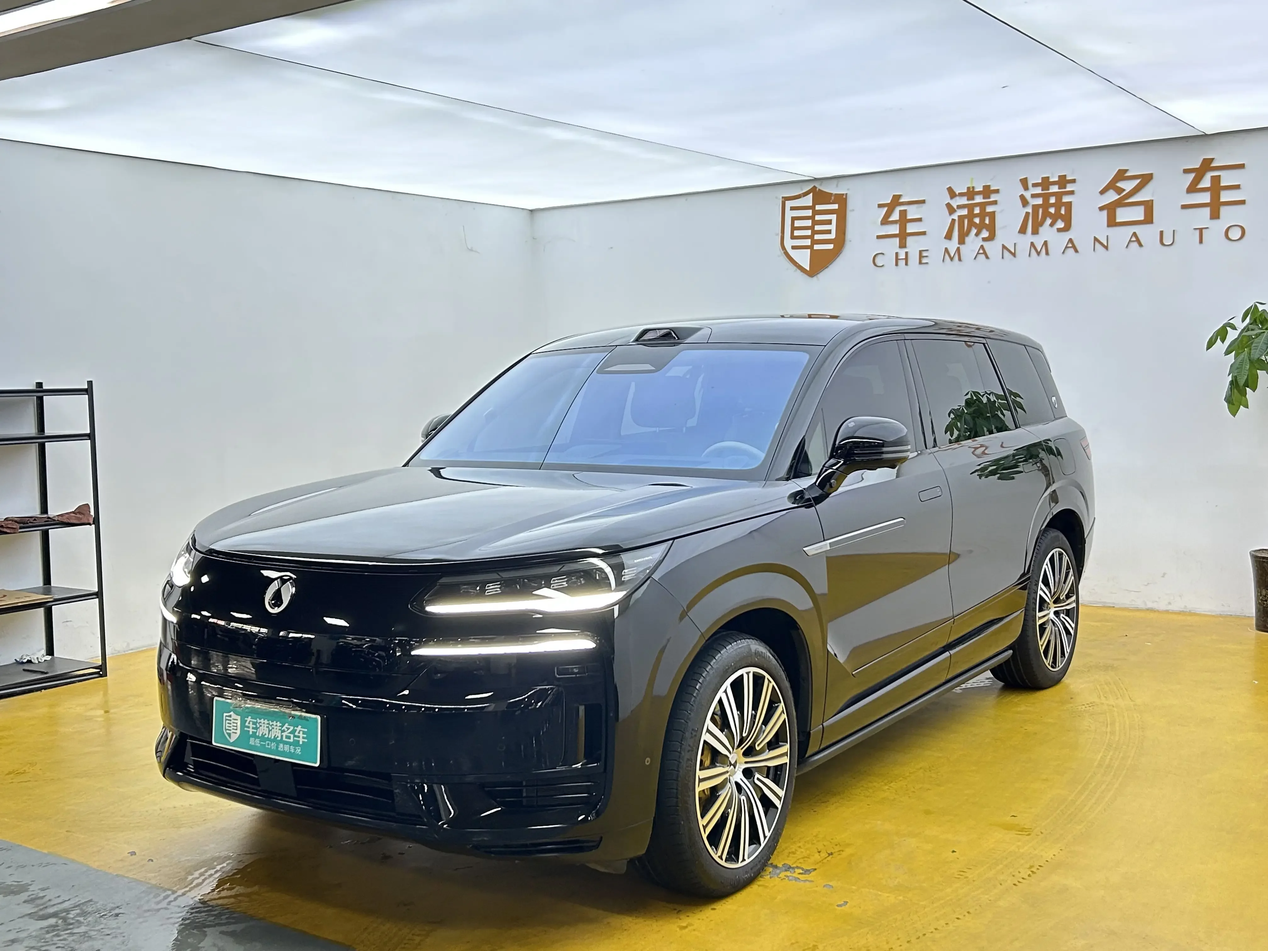 Denza Tengzhong N9 DM