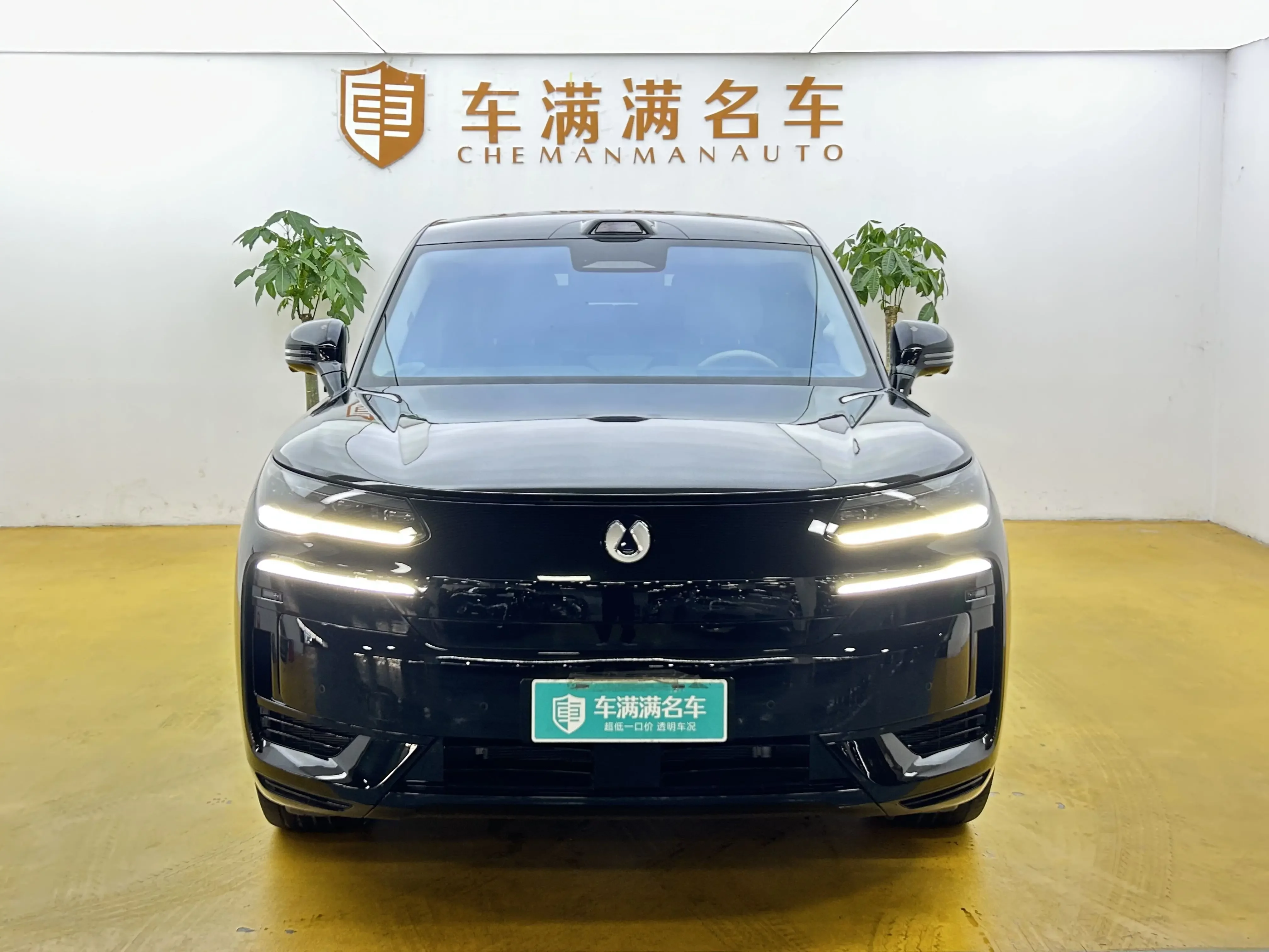 Denza Tengzhong N9 DM