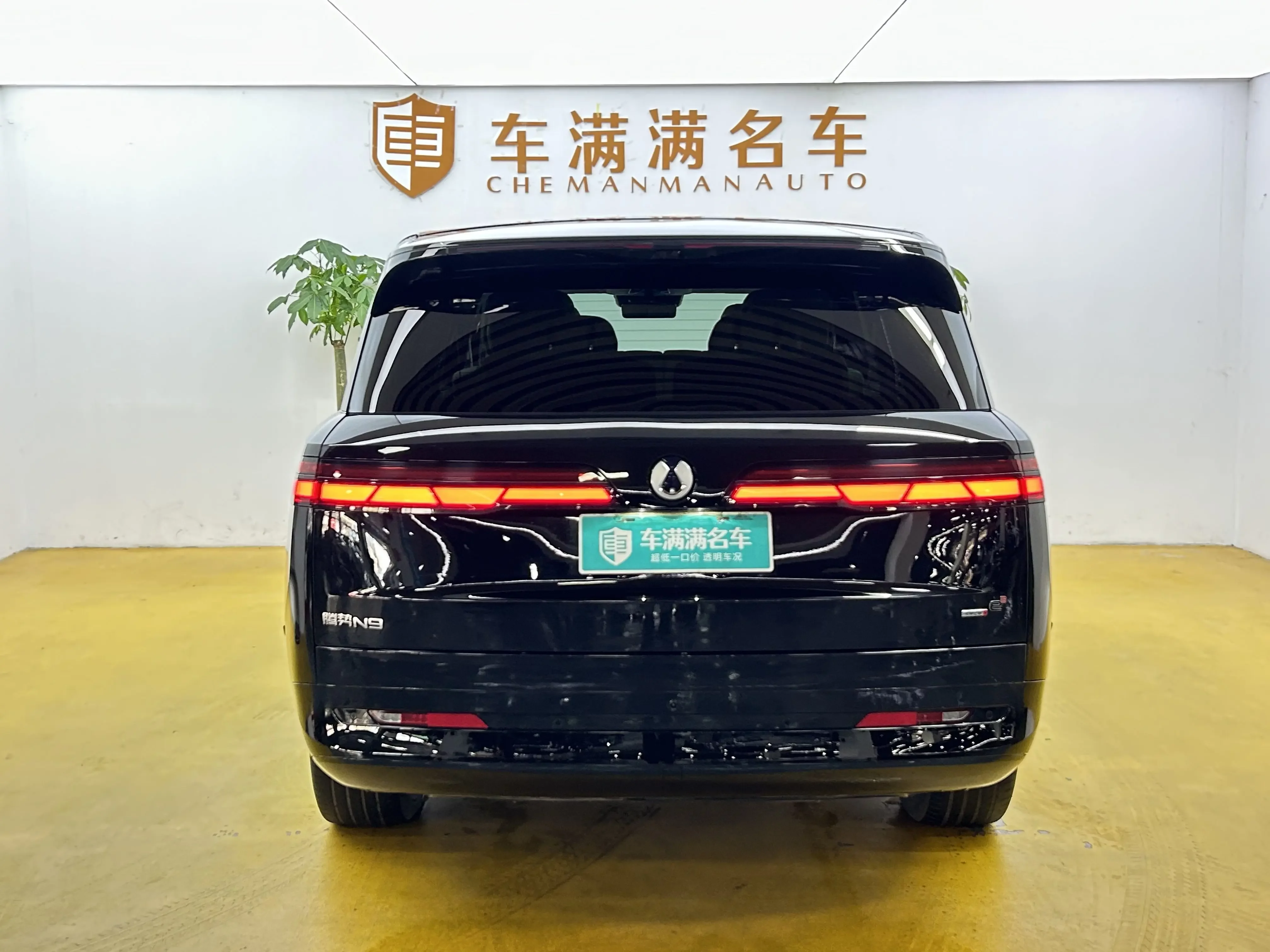 Denza Tengzhong N9 DM