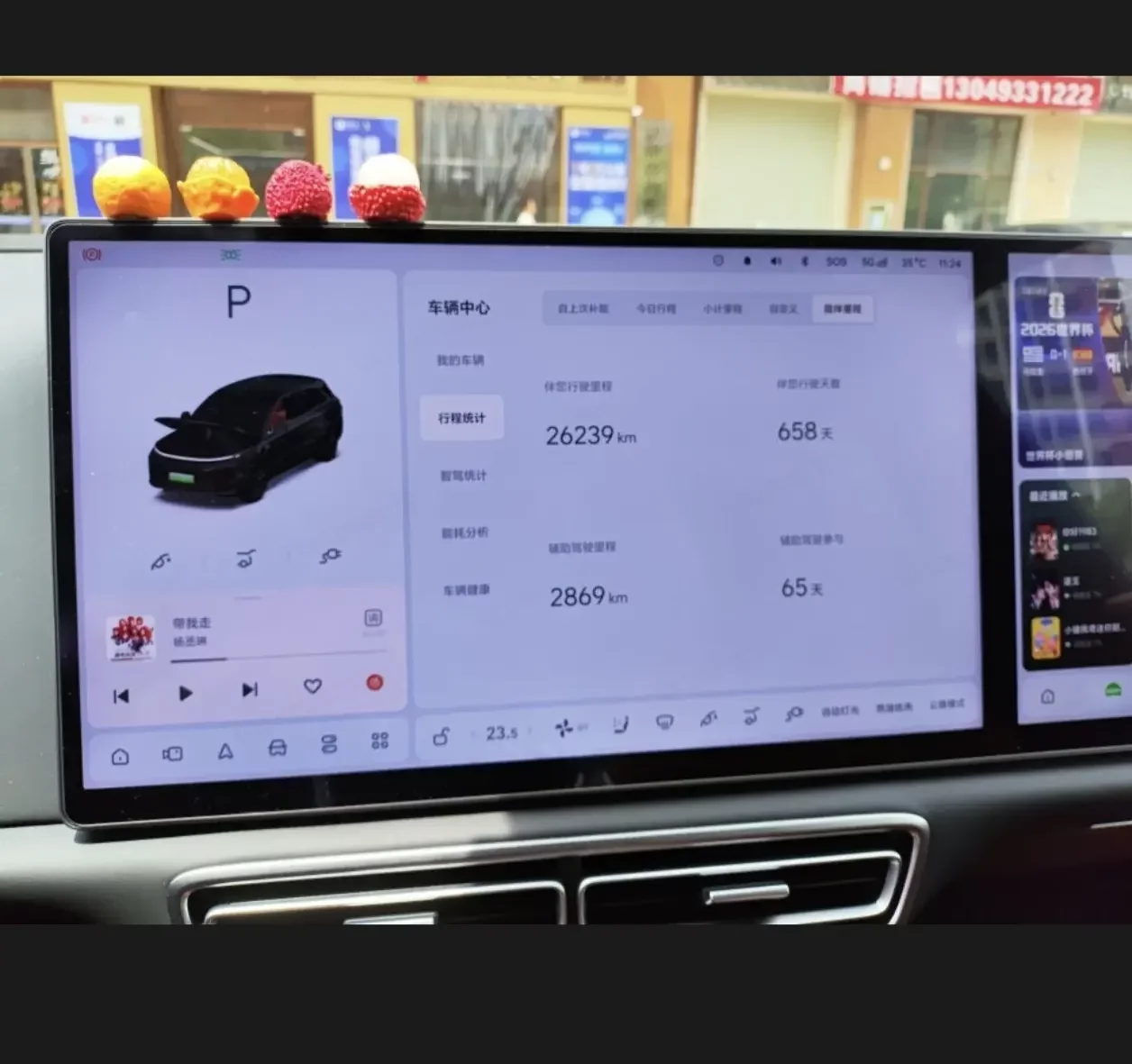 Lixiang L6