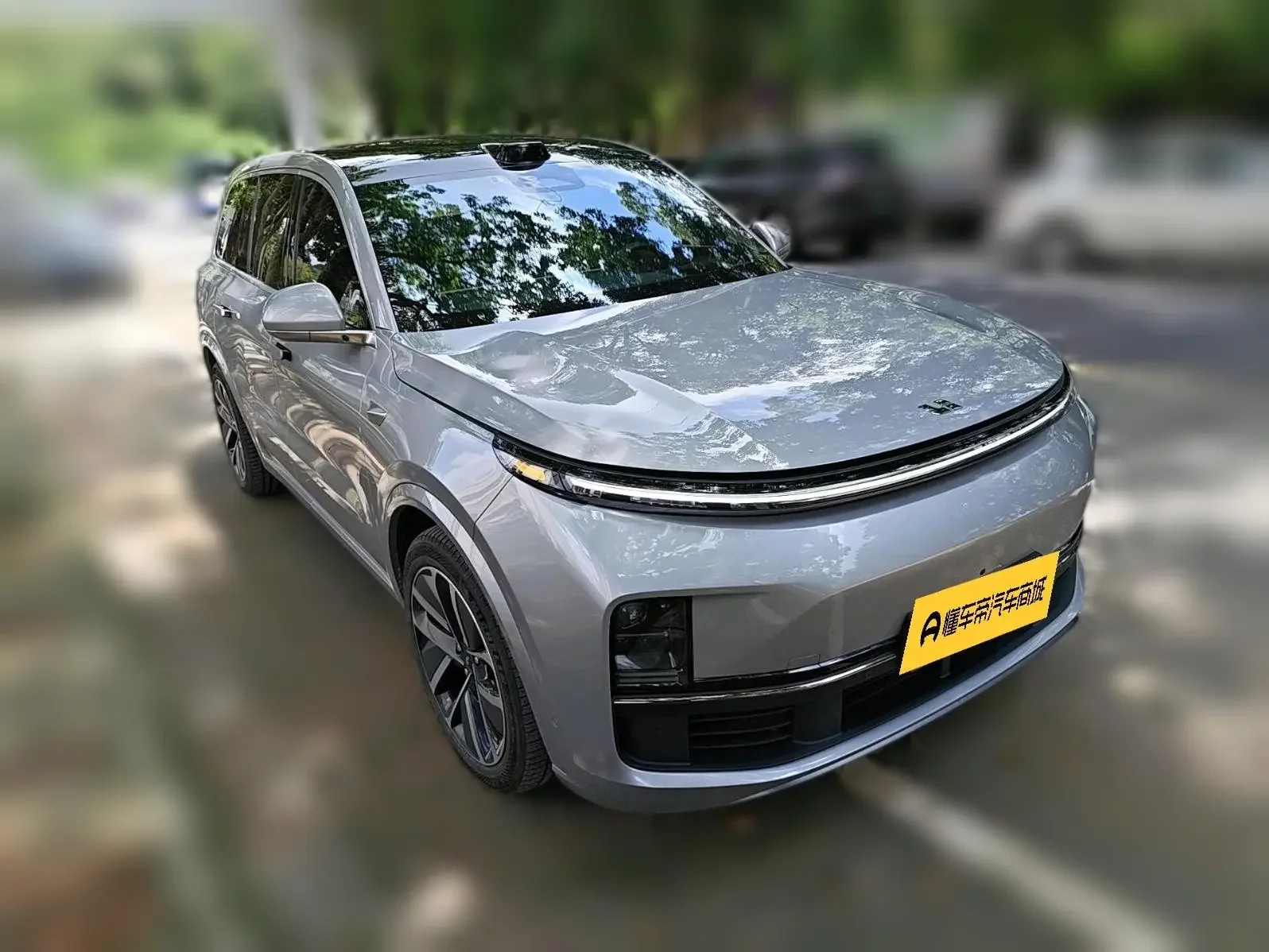 Lixiang L9