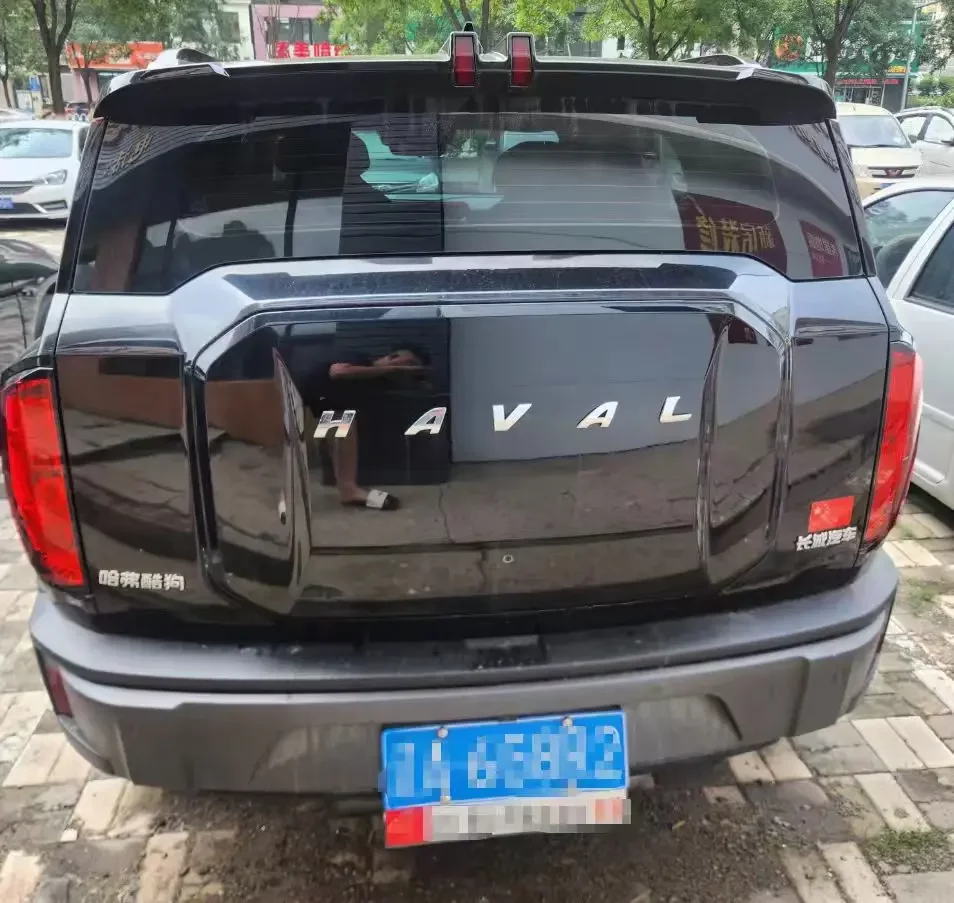 Haval cool dog