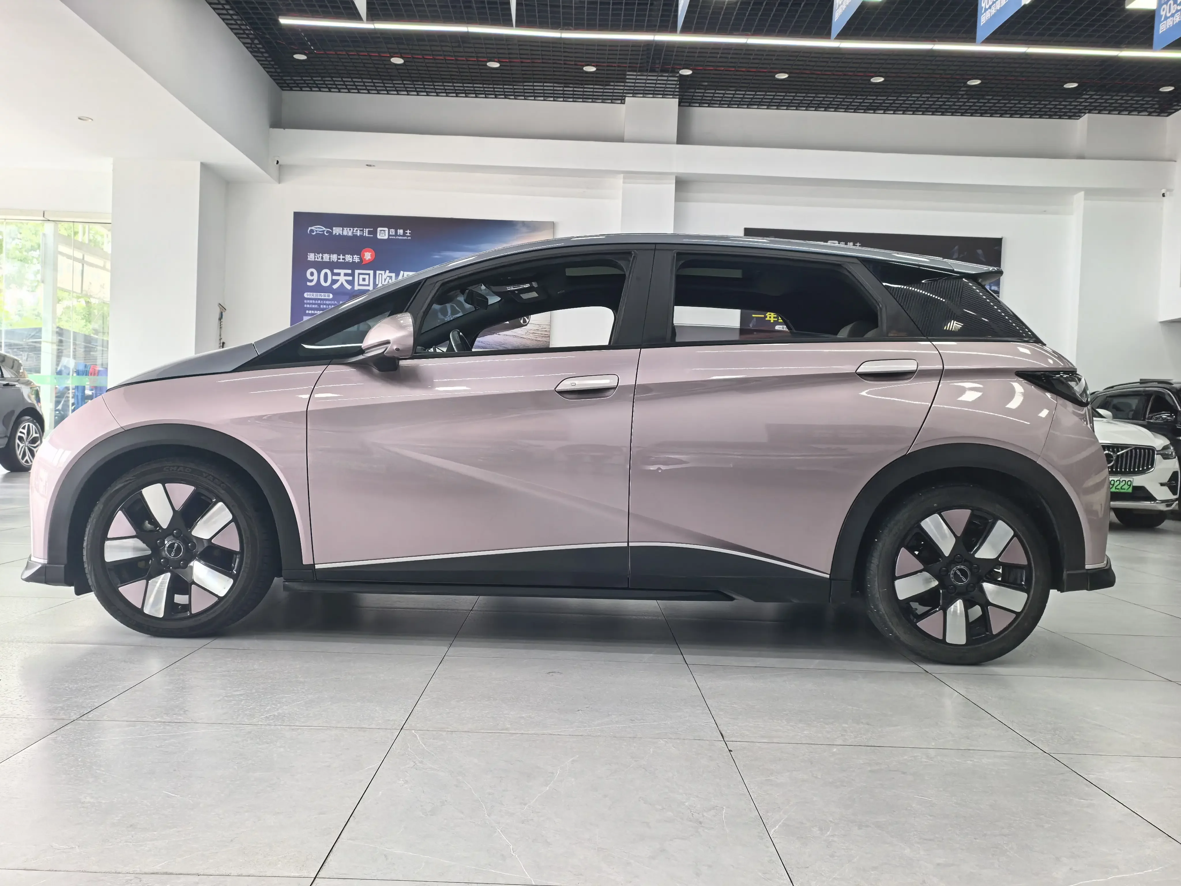 BYD dolphin