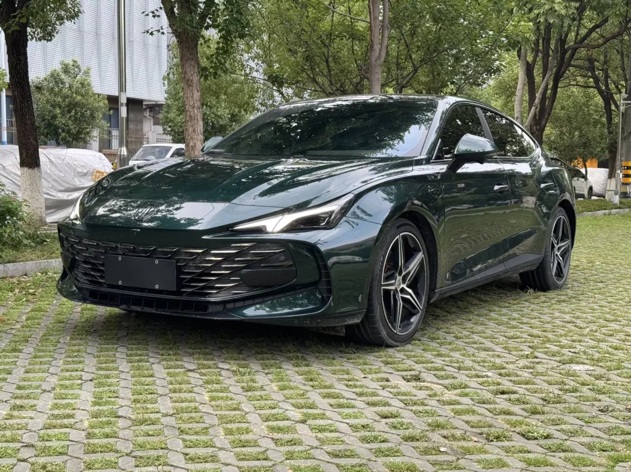 MG 7
