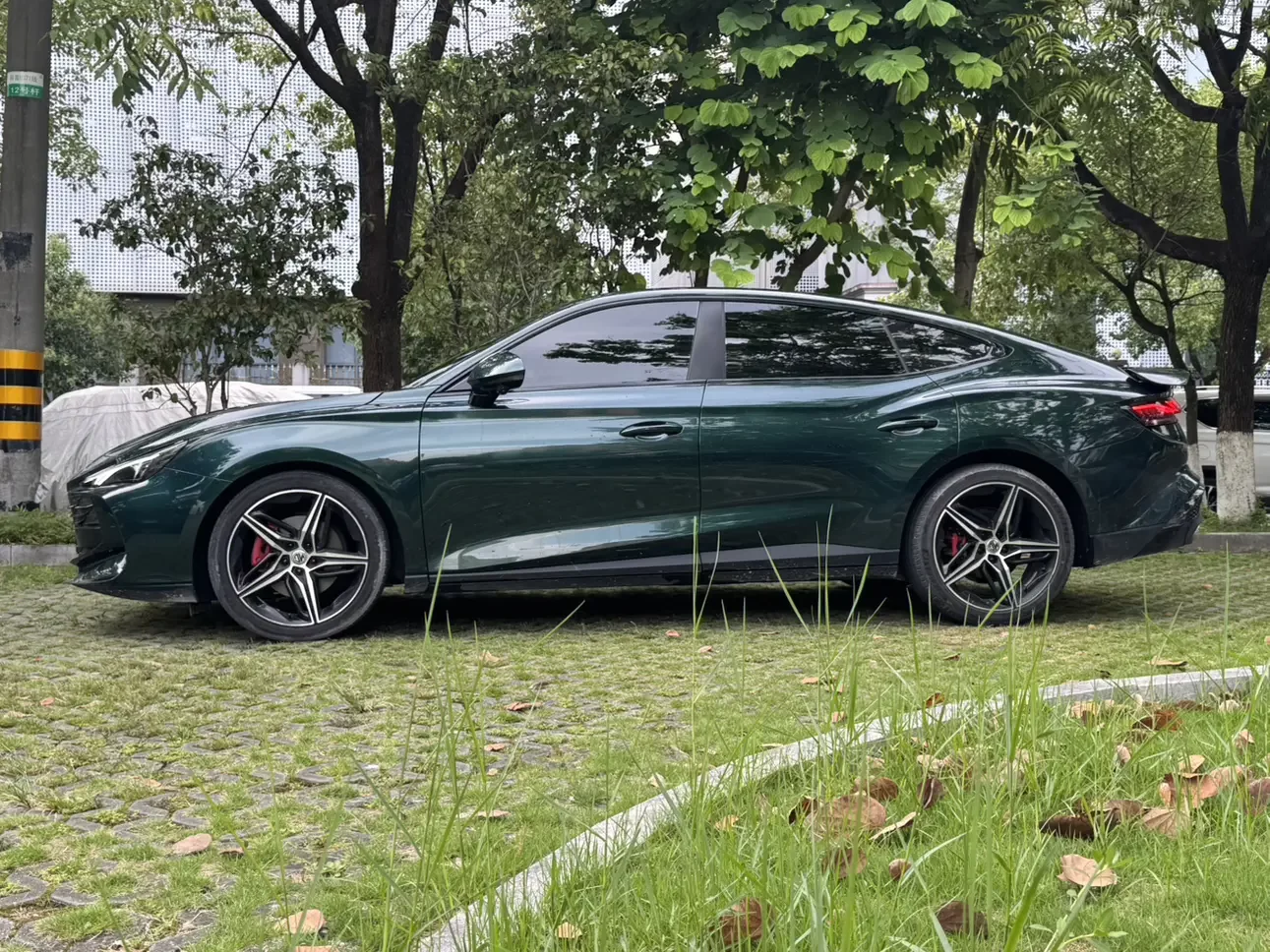 MG 7