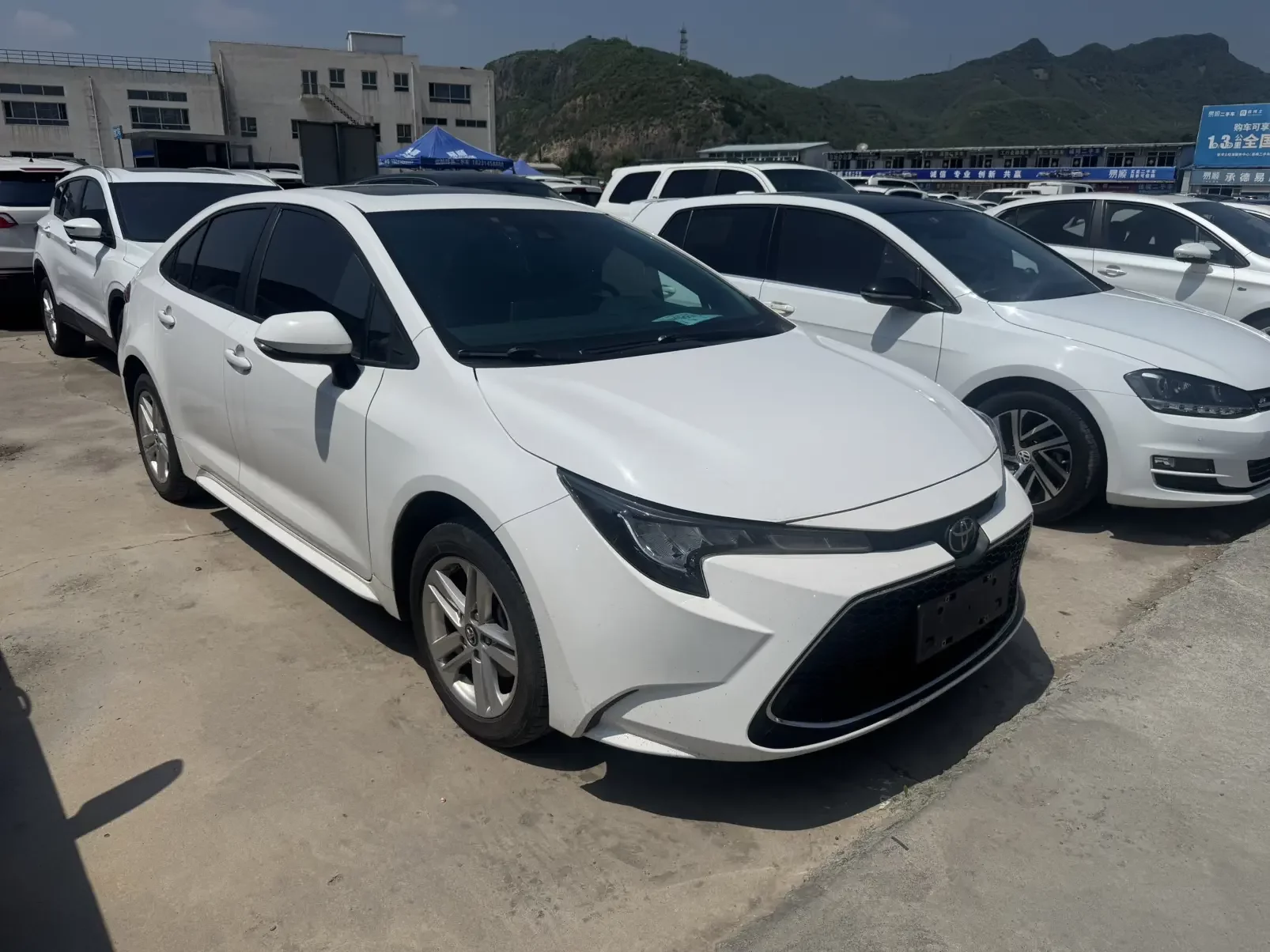 Toyota Levin