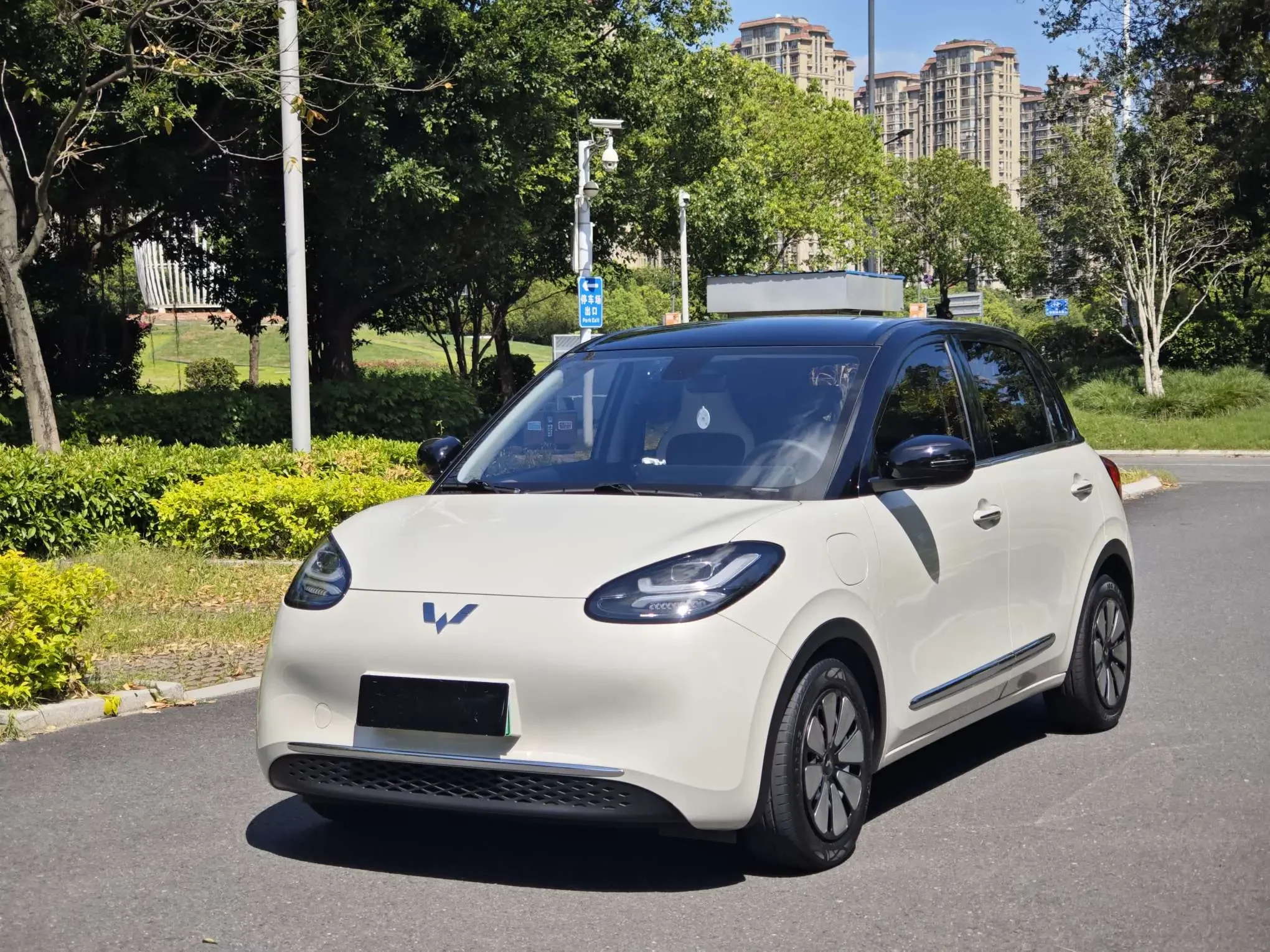 Wuling Bingo