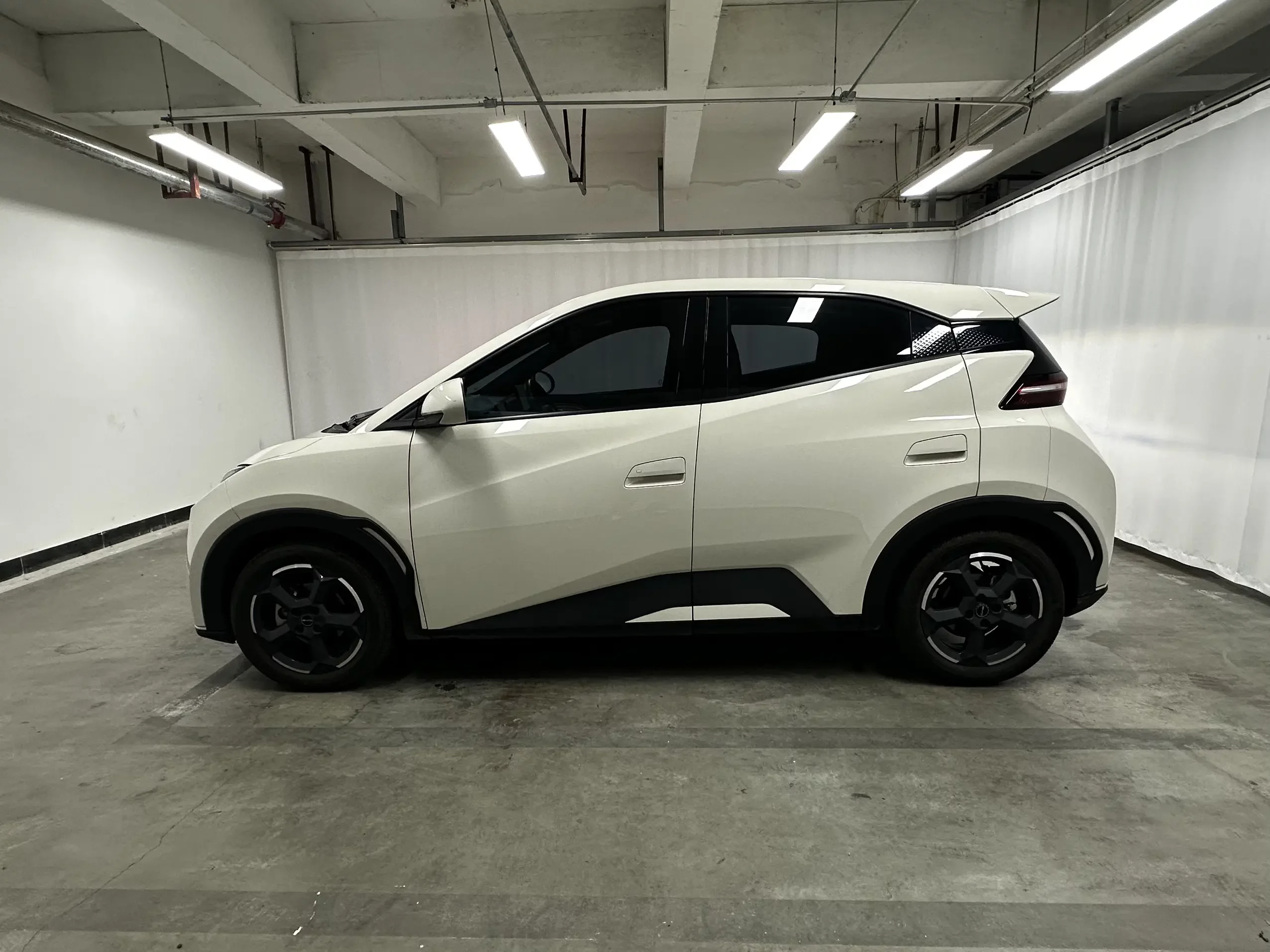 BYD seagull