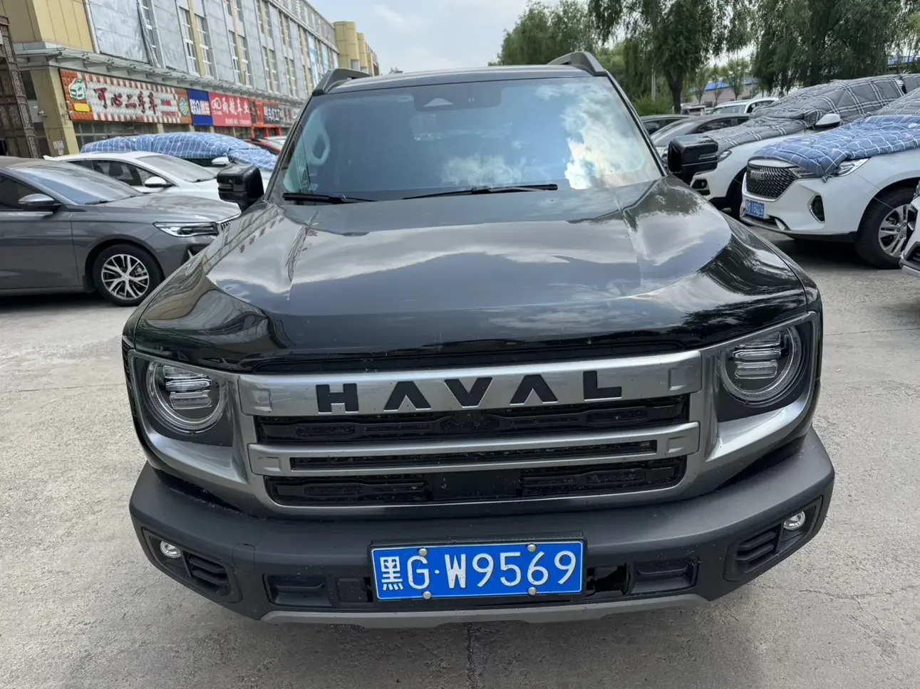 Haval Dargo