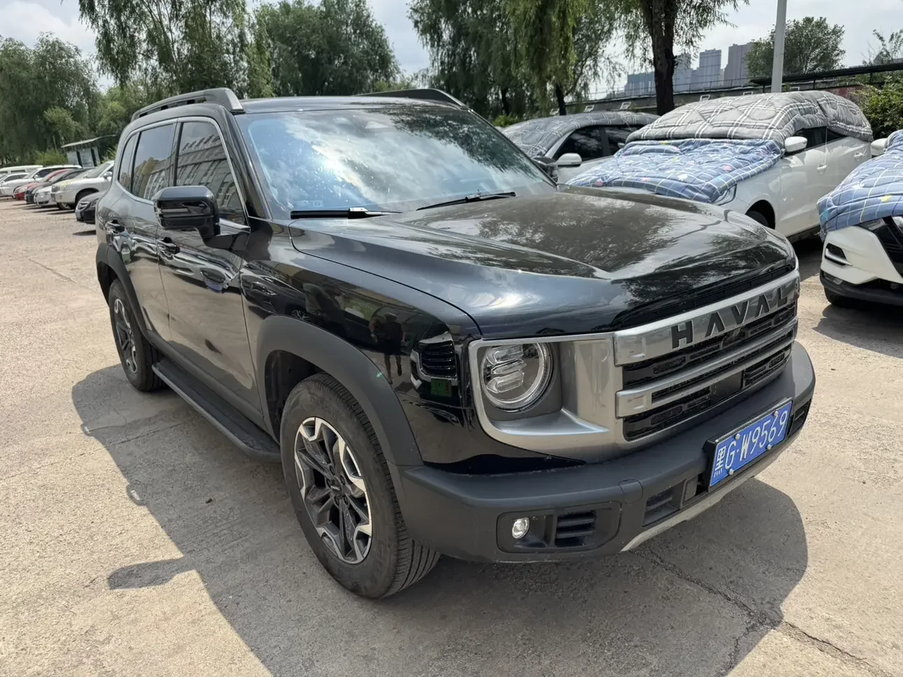 Haval Dargo