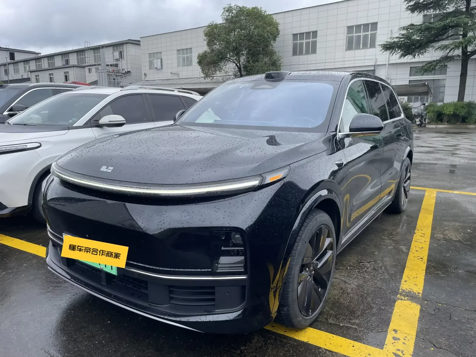 Lixiang L9