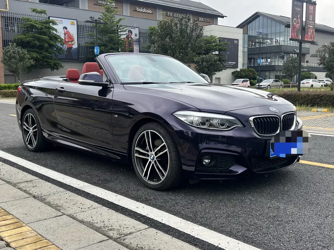 BMW 2 Series