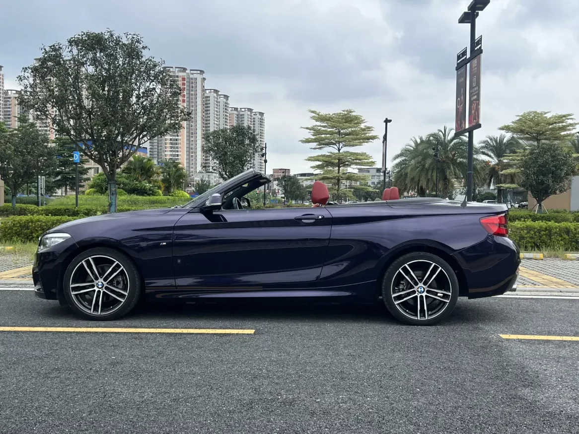 BMW 2 Series