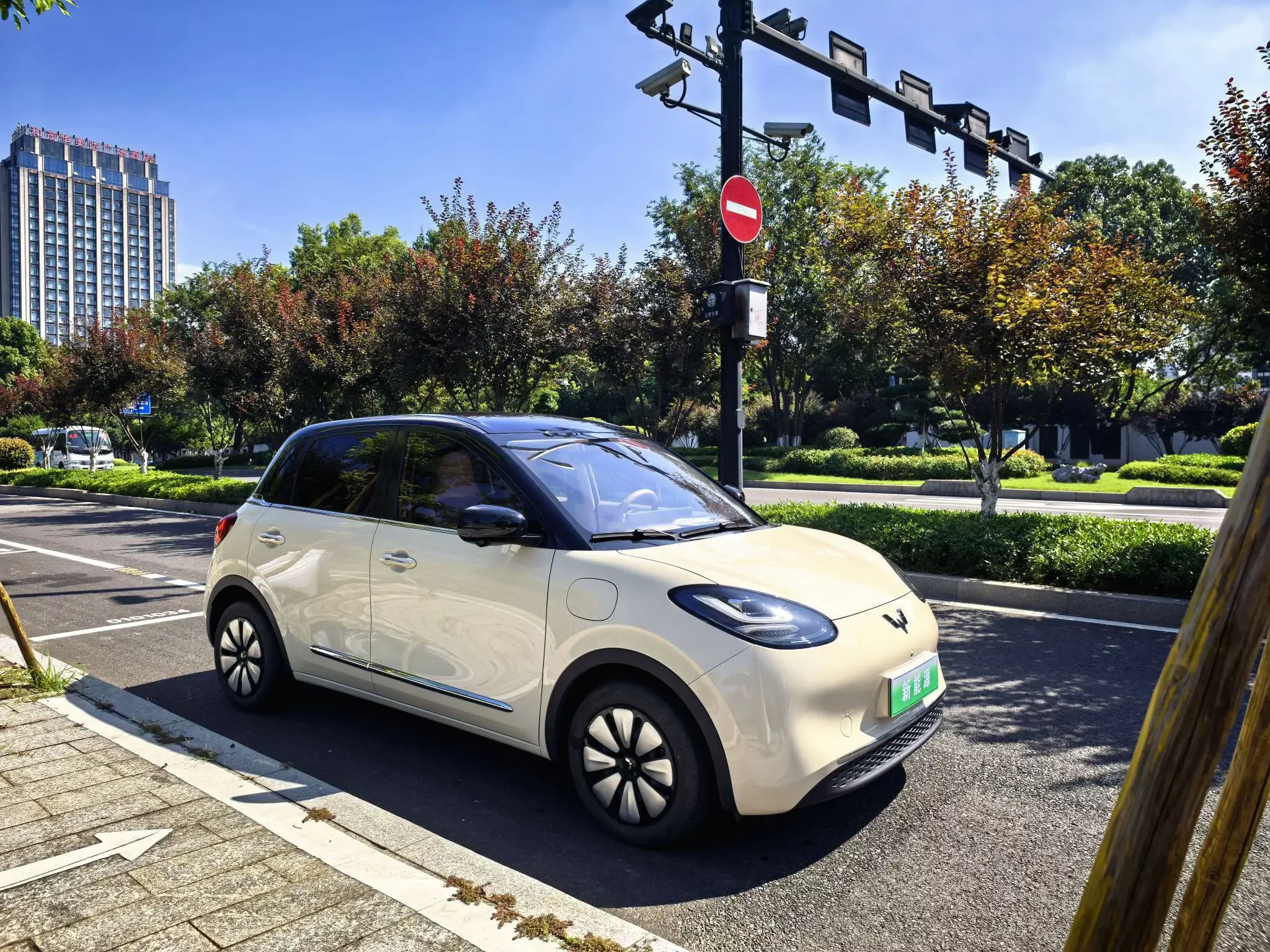 Wuling Bingo