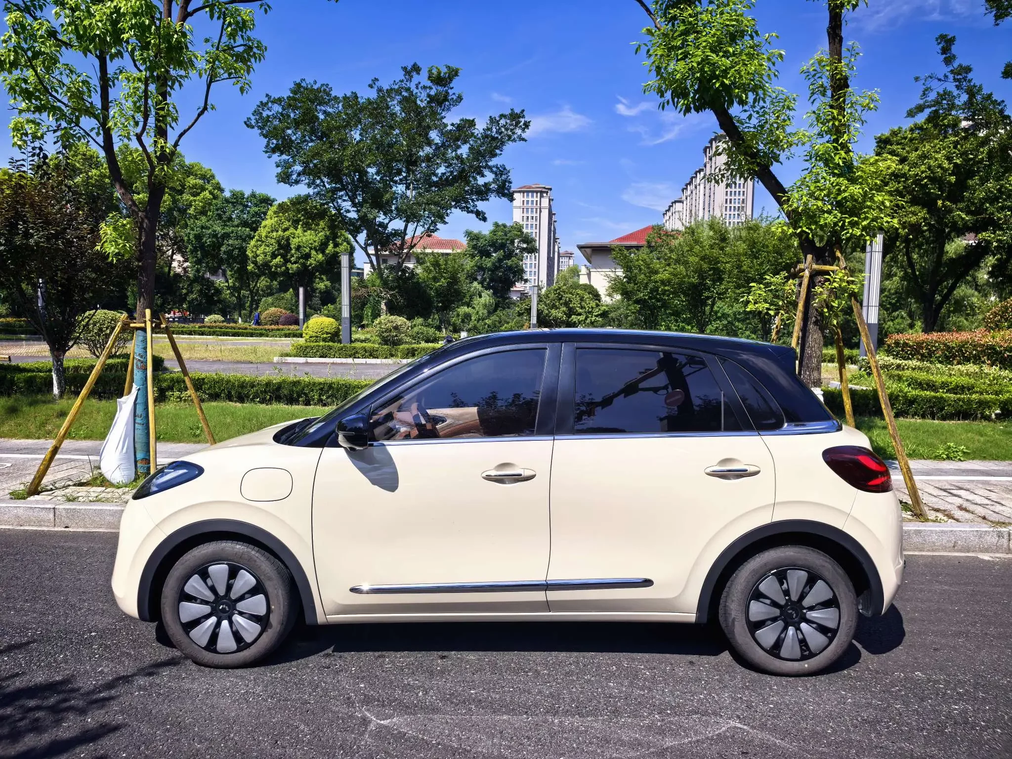 Wuling Bingo