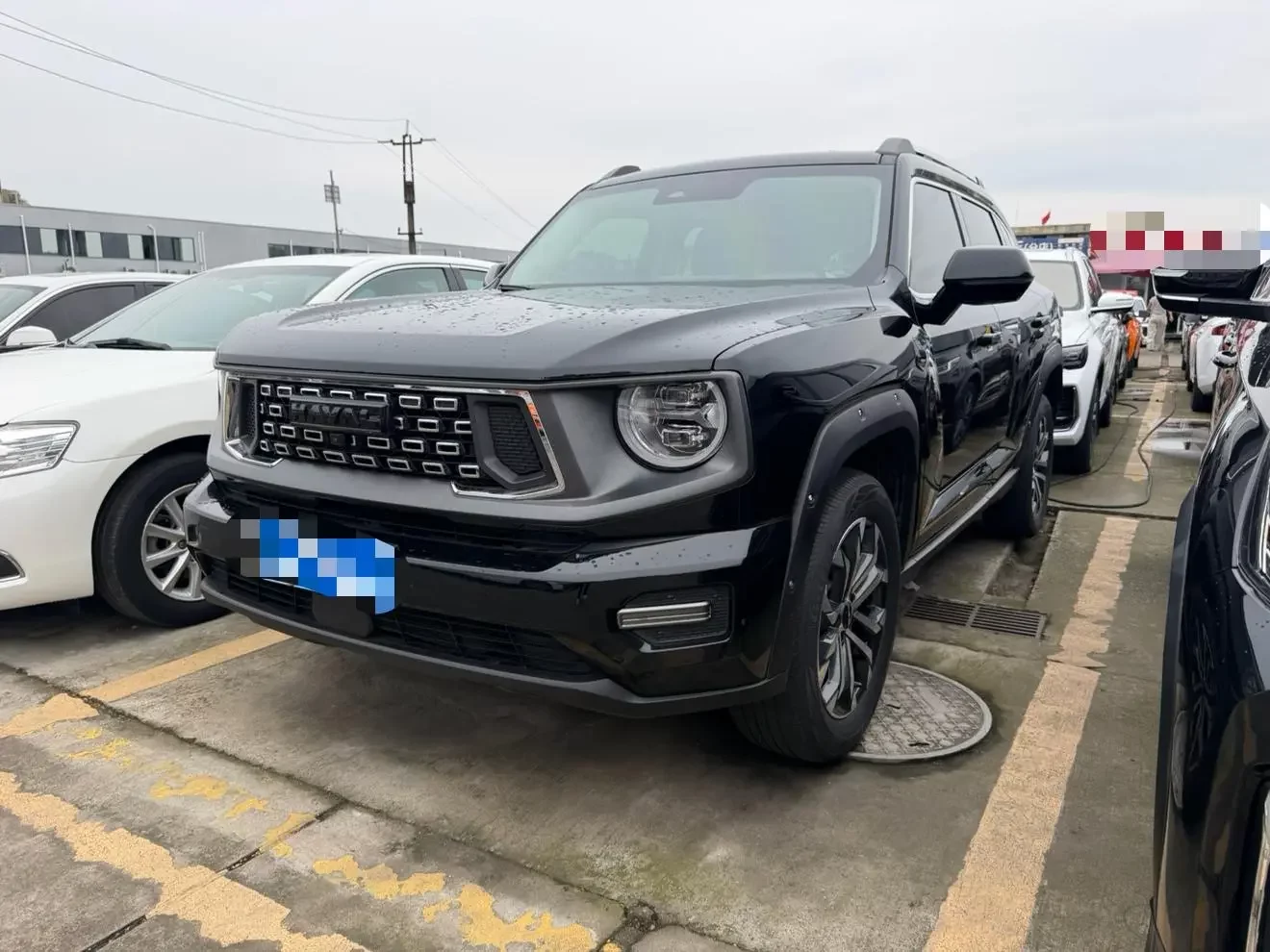Haval H-Dog (Big Dog PLUS)  из Китая