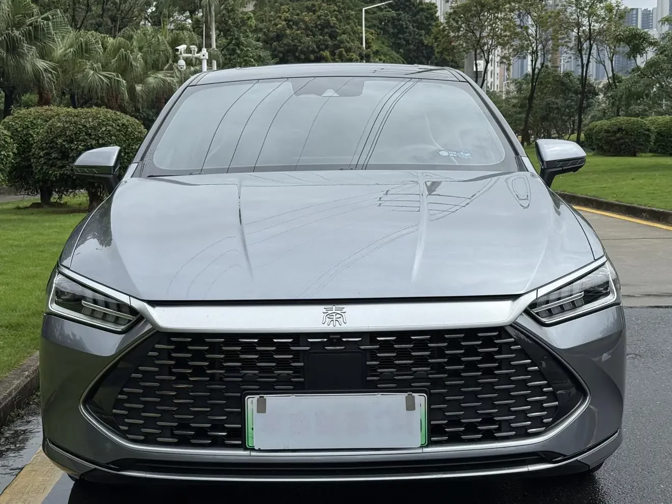 BYD Qin PLUS DM