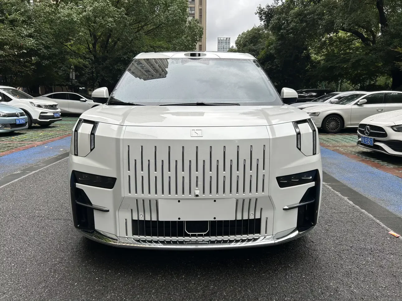 ZEEKR 009