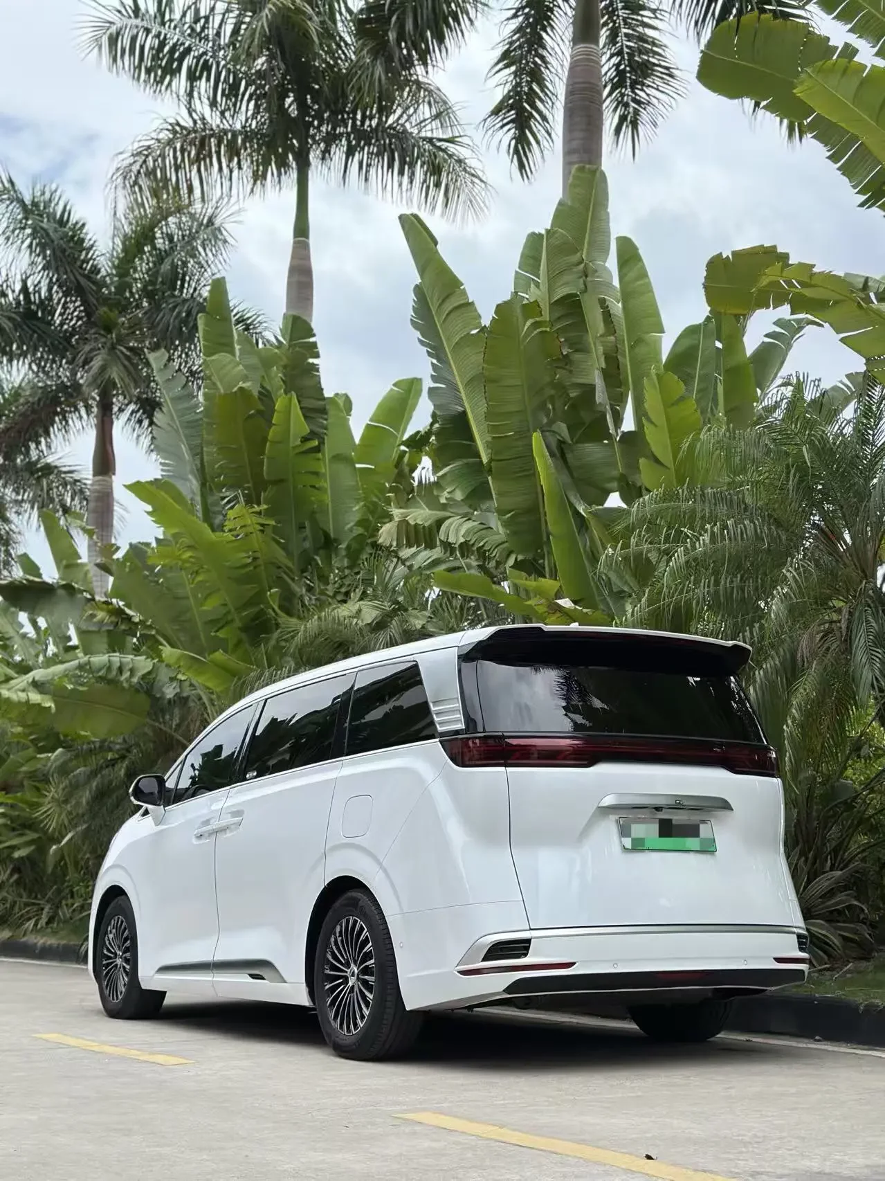 Denza D9 DM