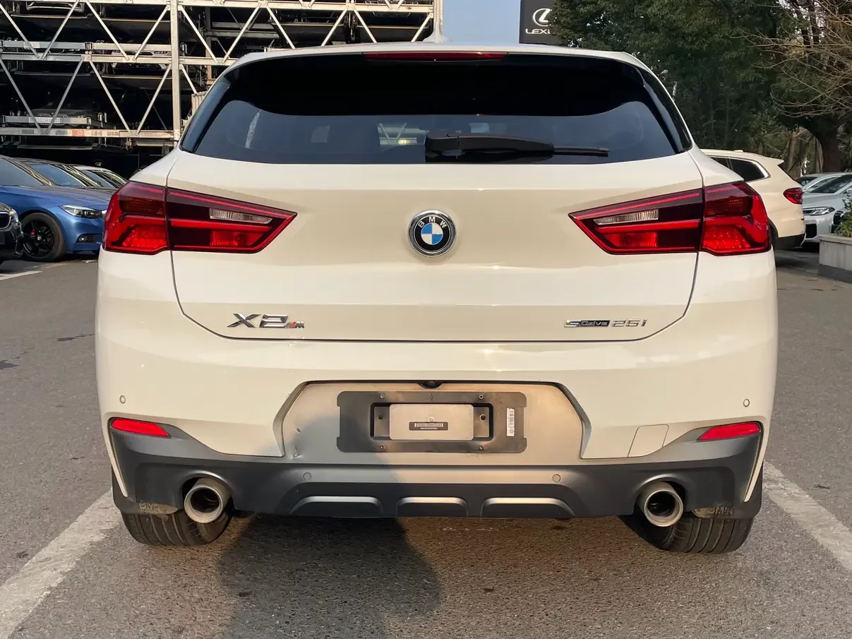 BMW X2