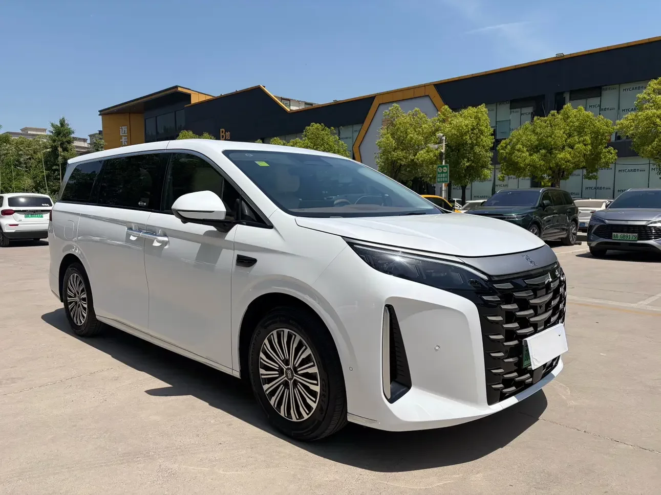 BYD summer