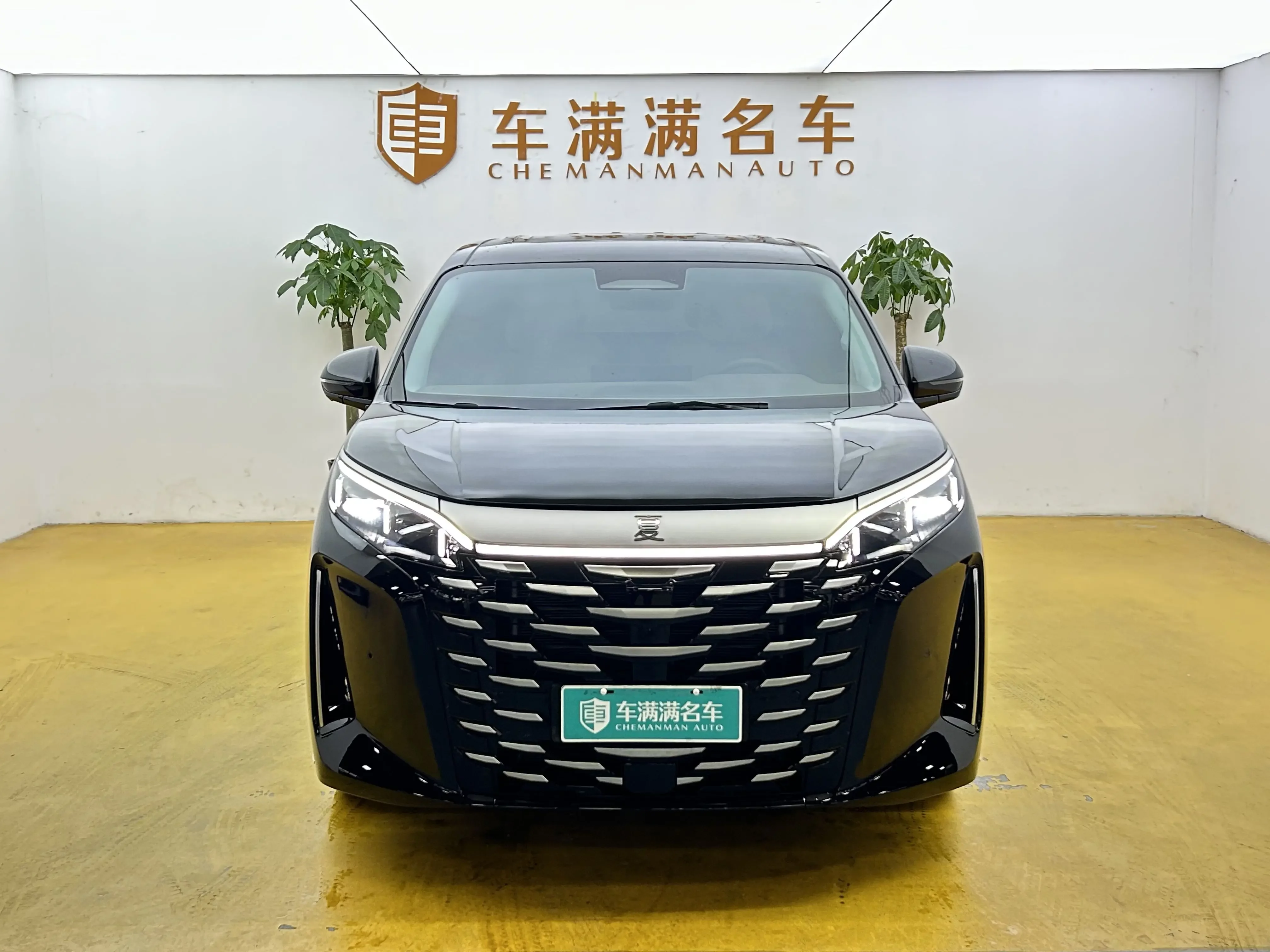 BYD summer  из Китая