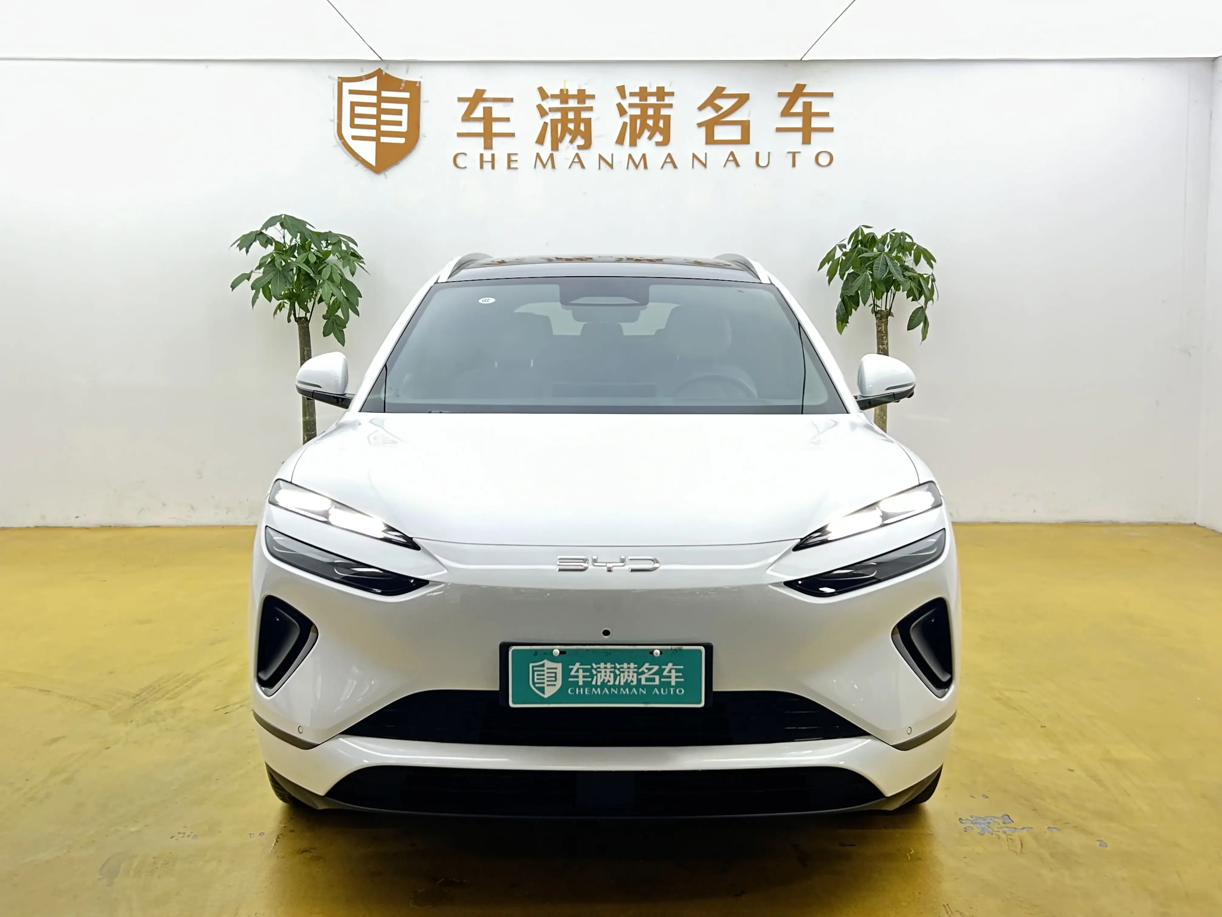BYD Sea Lion 06DM  из Китая